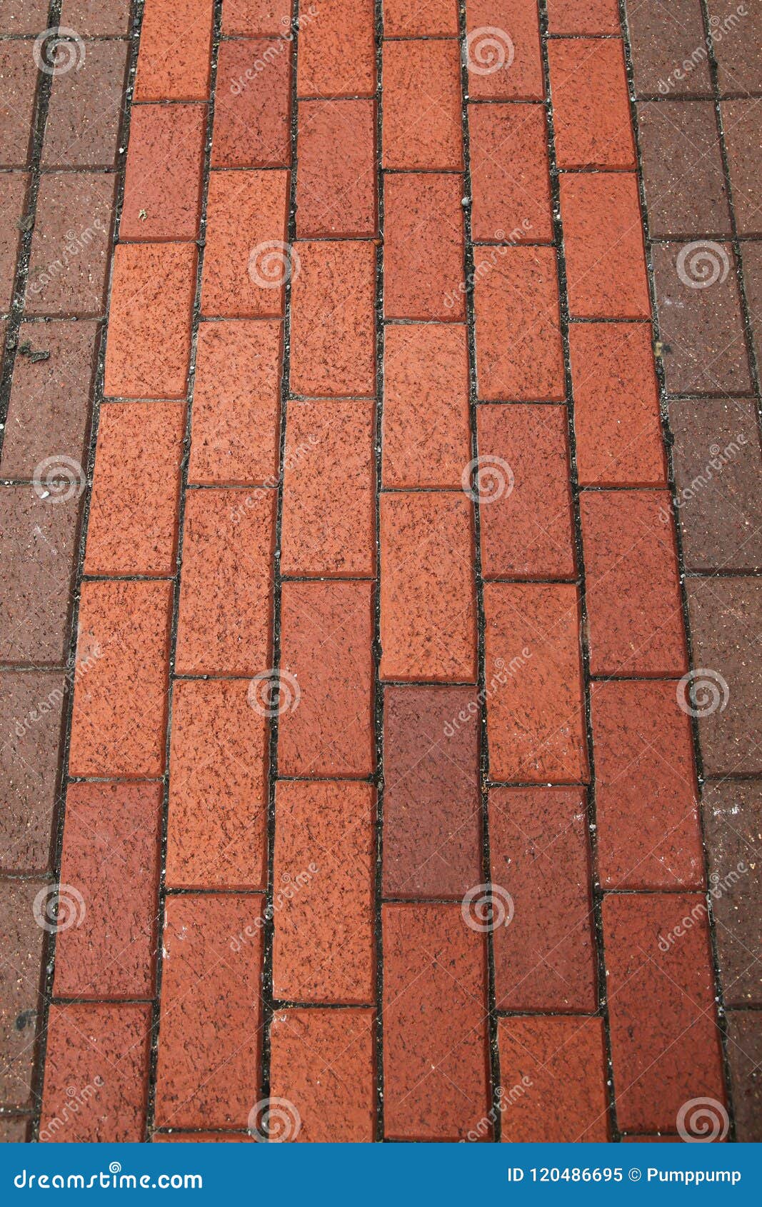 Red Brick Flooring on a Sidewalk Outdoors in USA. Red Brick Flooring on a Sidewalk Outdoors in New York,USA