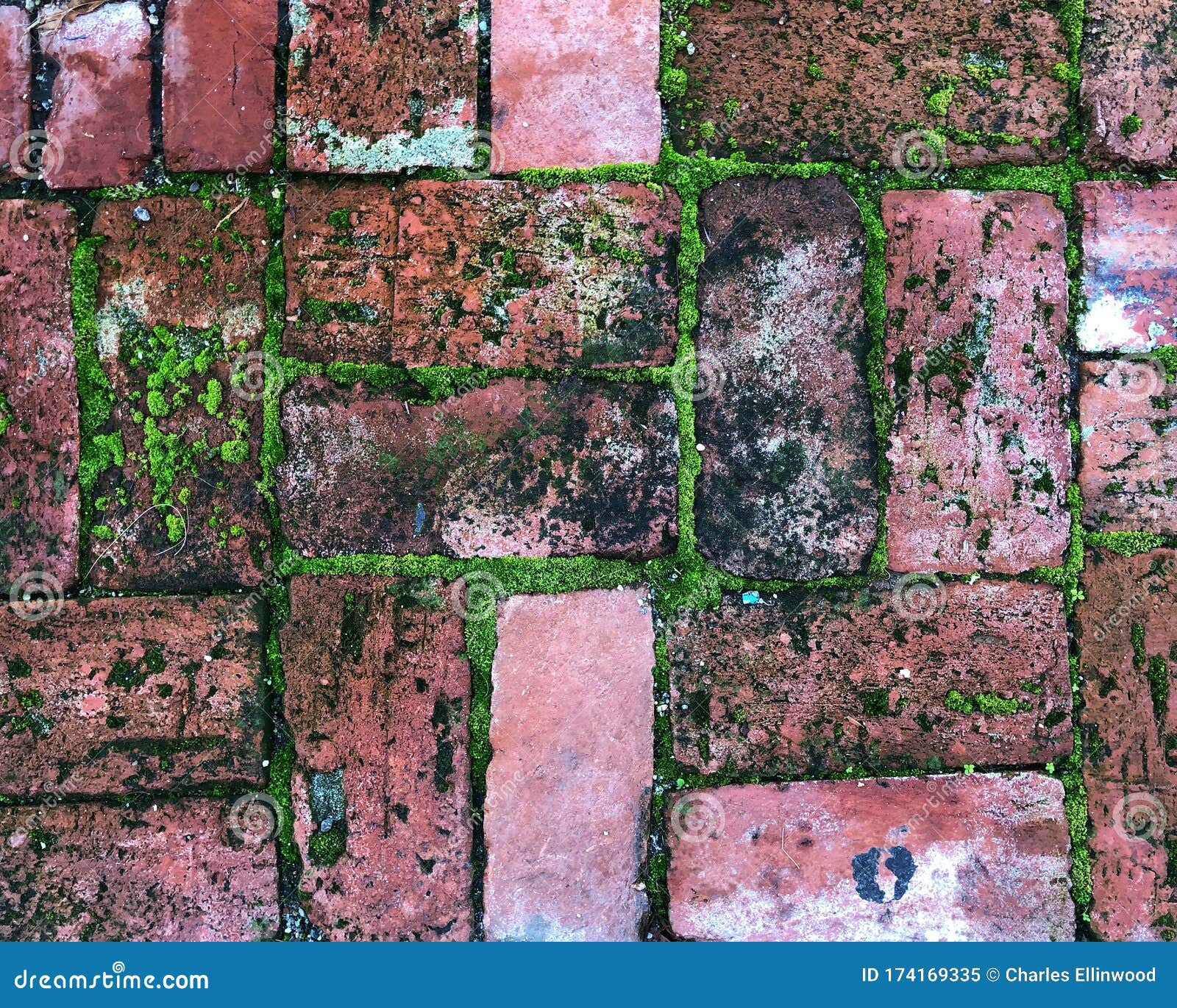 Red Brick Pavers with Green Moss Stock Image Image of background