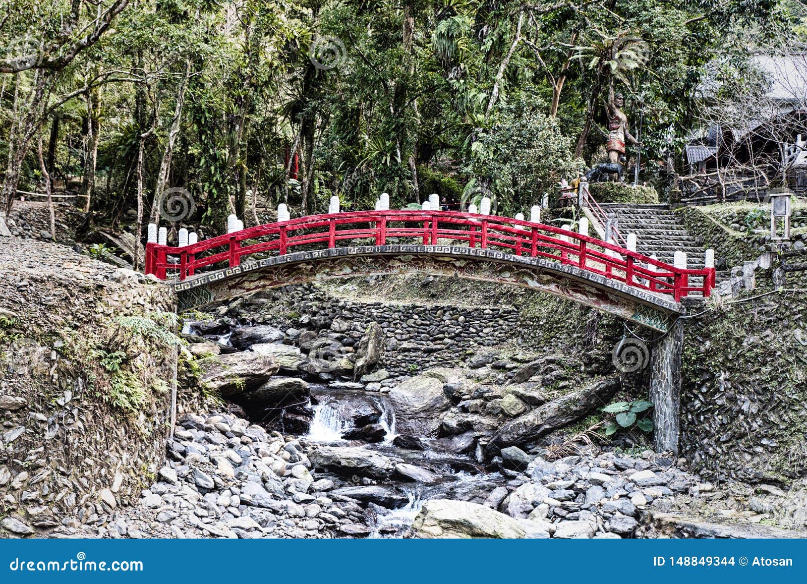 Red Bridge Crossing a Rain Forest Stock Photo Image of plant