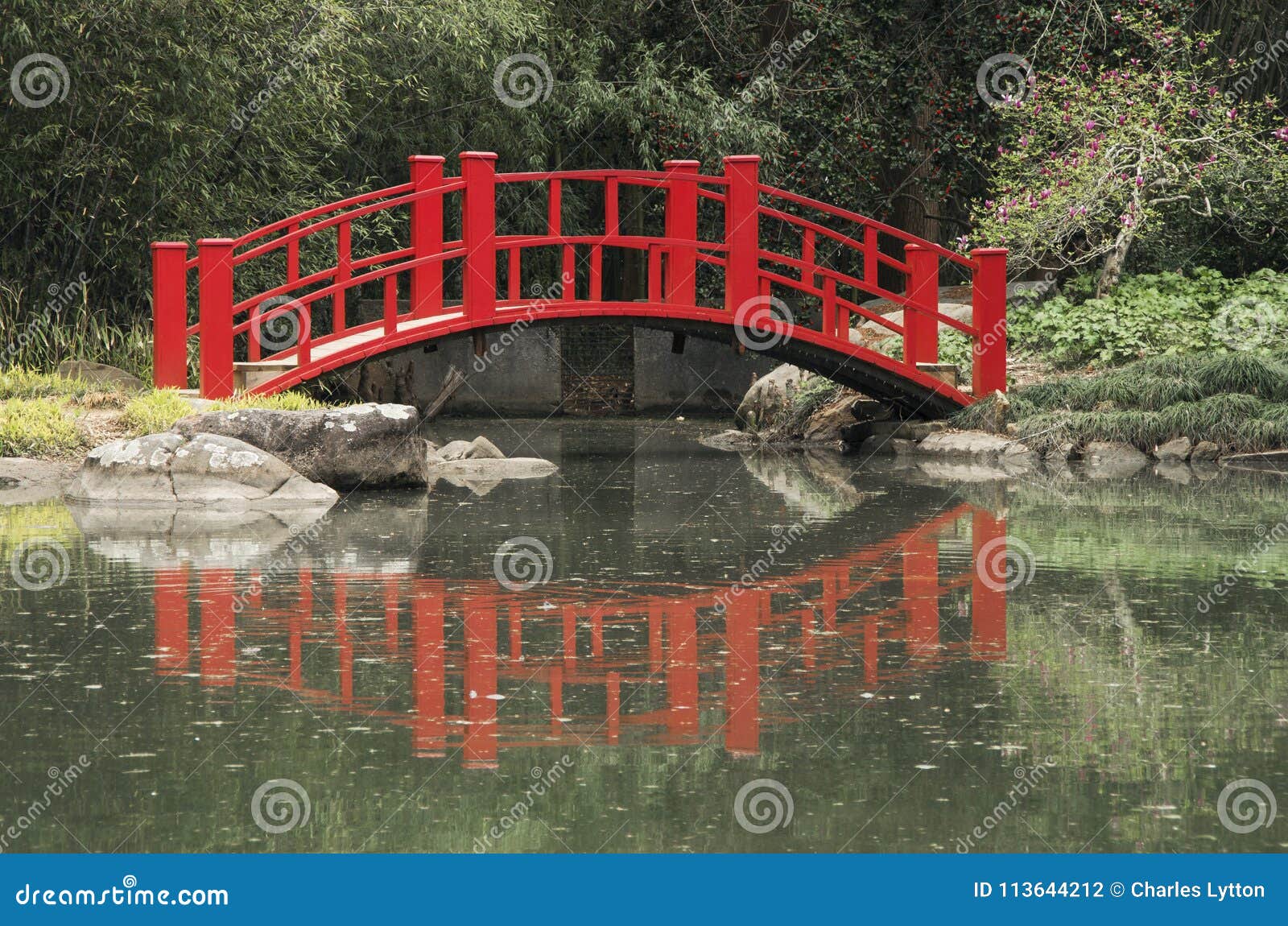 Red Bridge Stock Photo Image Of Water Birminham Garden 113644212