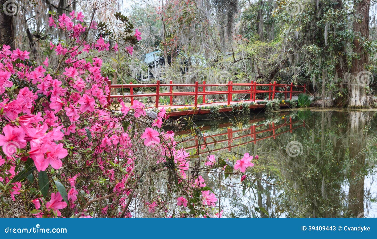 red bridge spring azaleas south carolina sc
