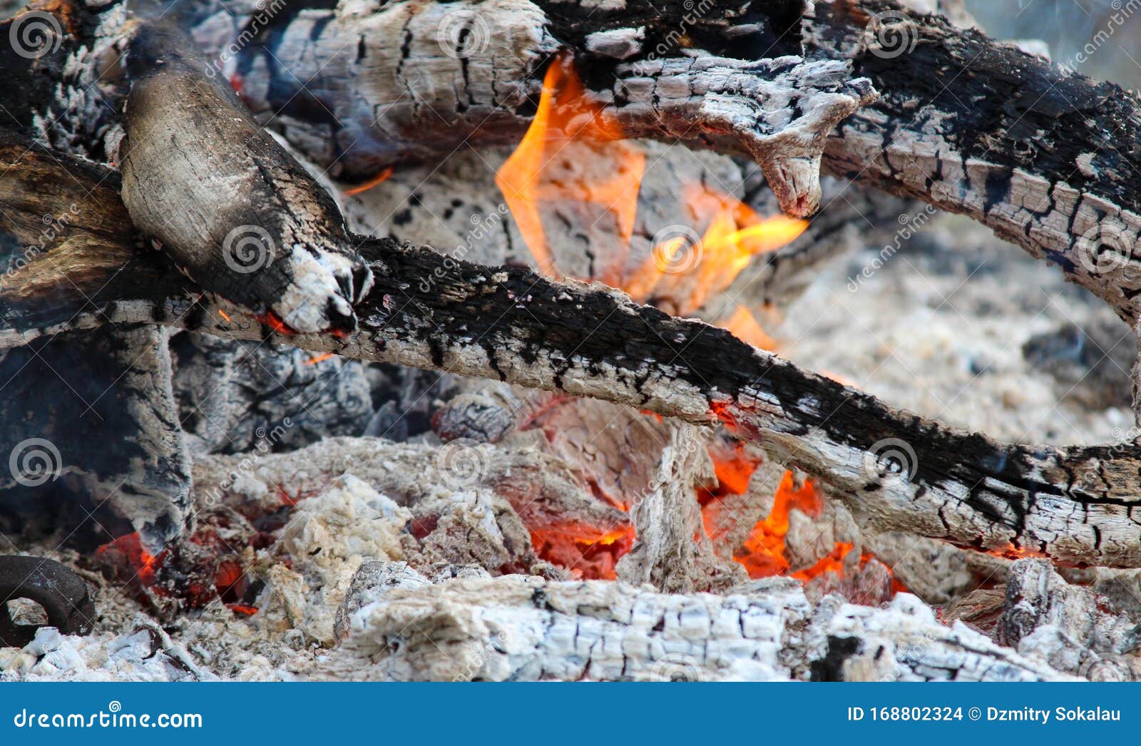 Red Burning Fire Smolders Smolders Burnt Tree Closeup Stock Photo ...