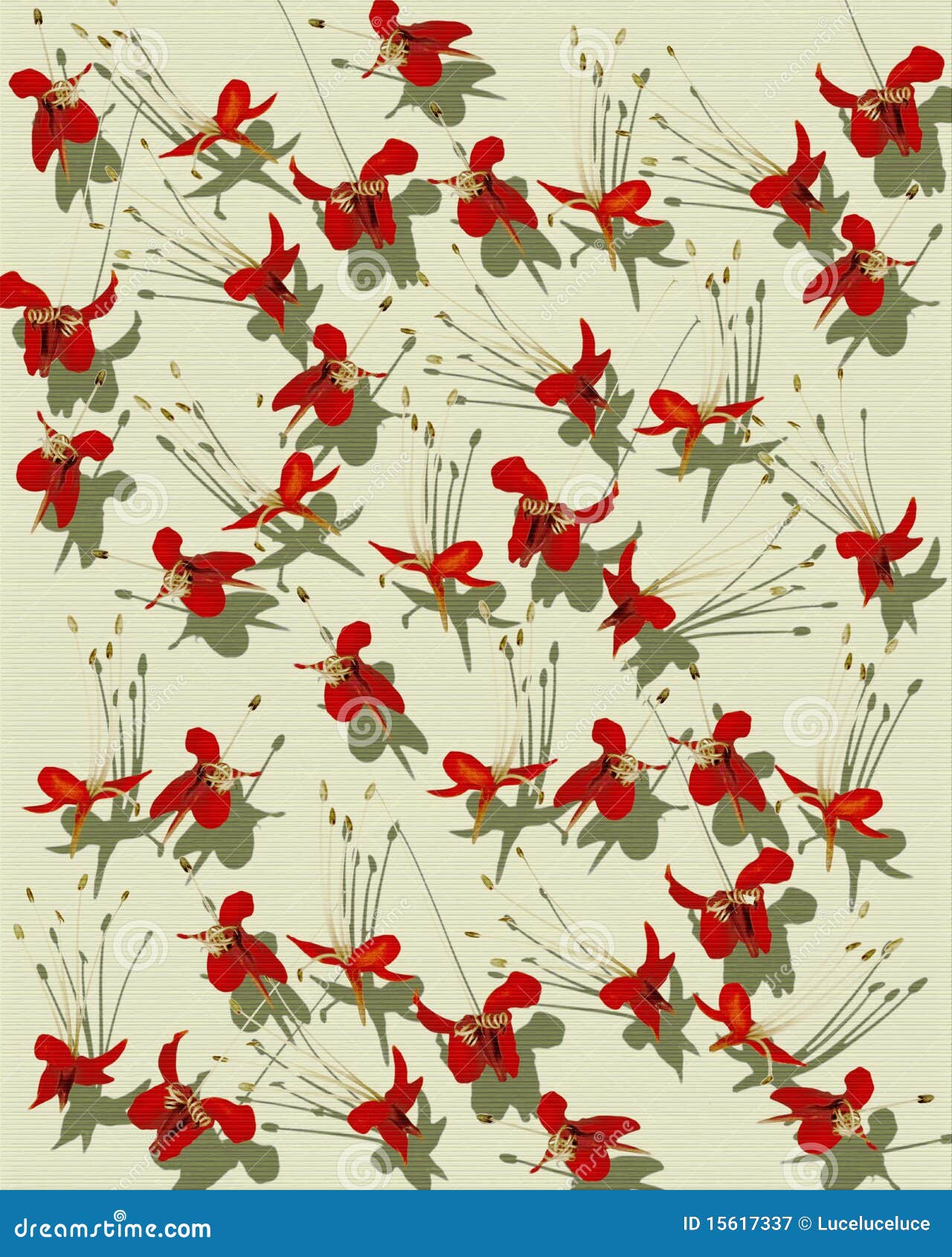 Butterfly Pea Flower On White Background. Cartoon Vector