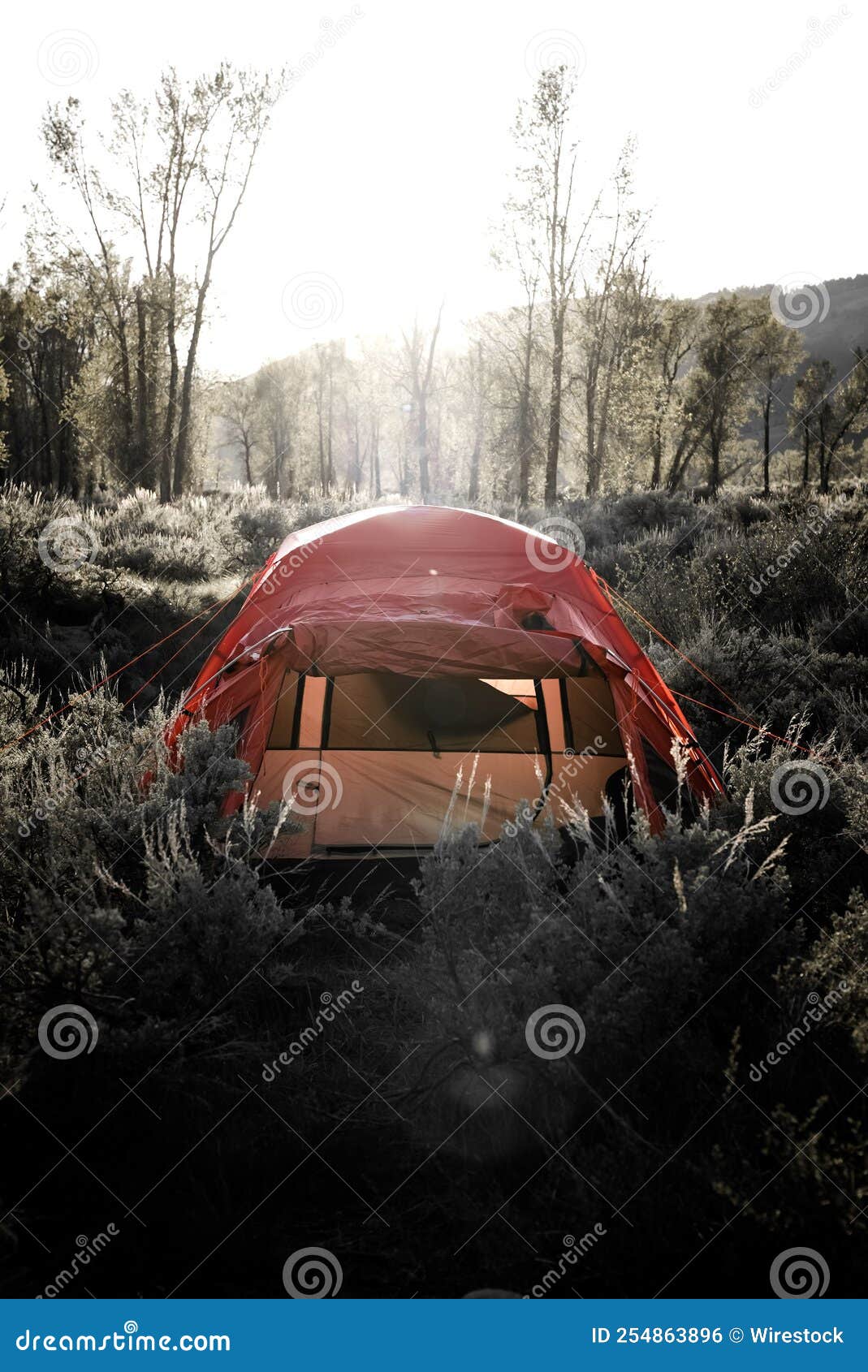 Red Camping Tent on the Forest Stock Photo Image of landscape