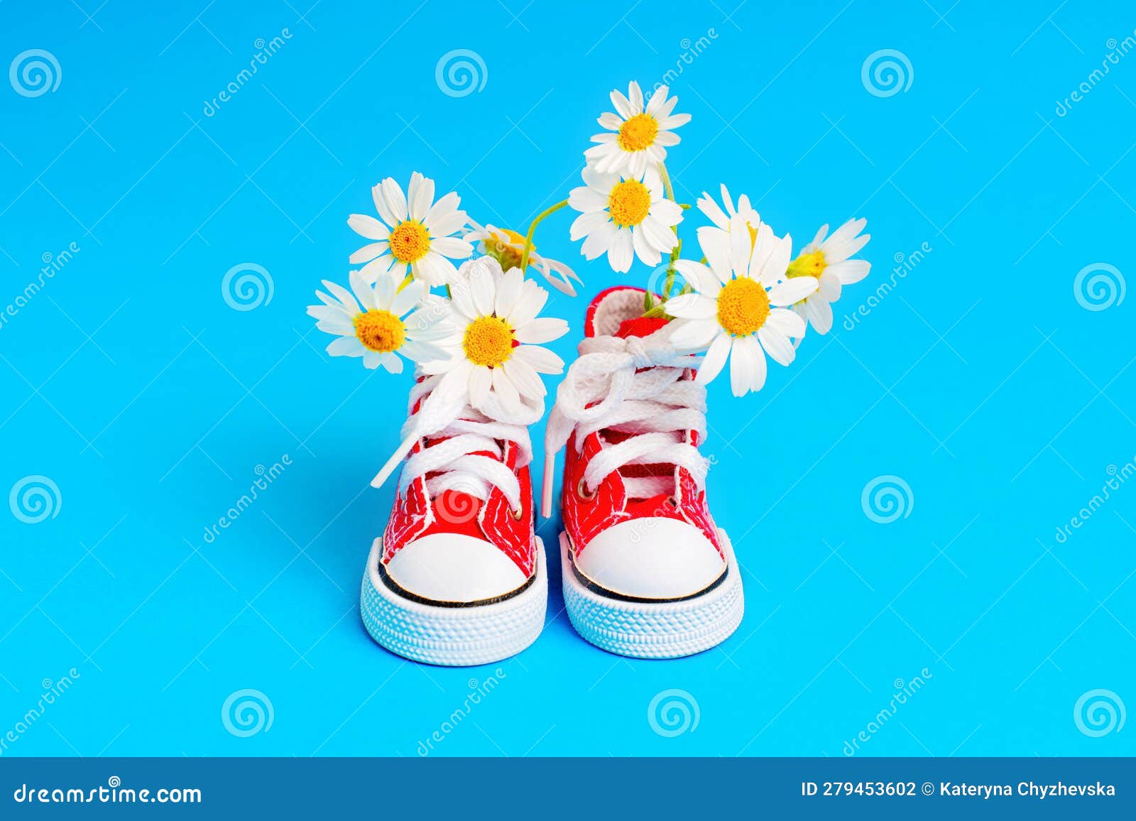 red canvas shoes and fresh daisies on blue