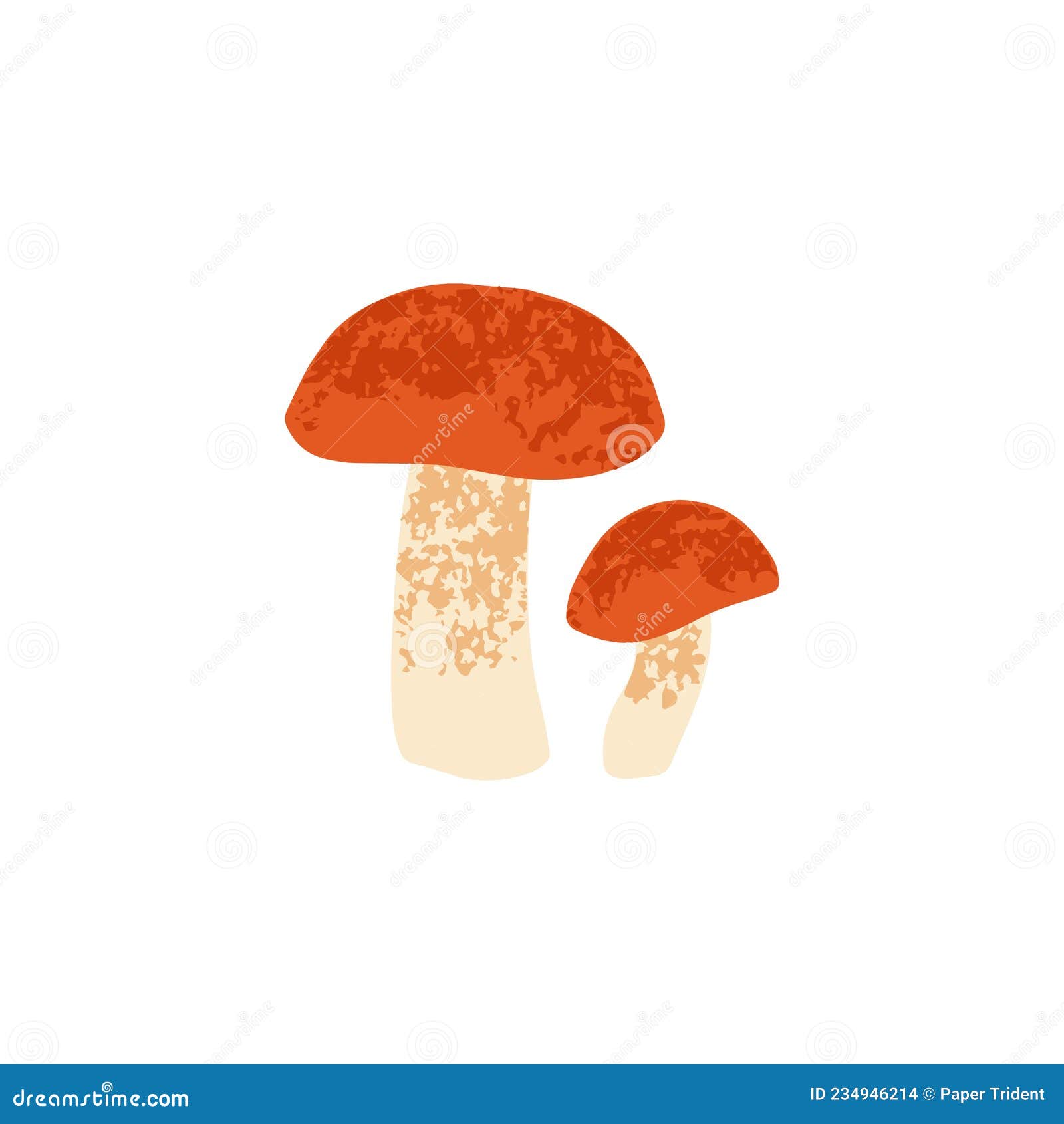 Red-capped Scaber Stalk Mushrooms. Outlined Botanical Vintage Drawing