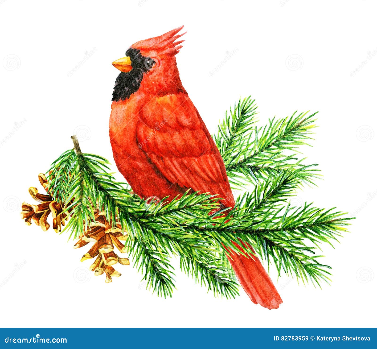 Red Cardinal Bird On Pine Brunch Stock Illustration Illustration Of Ecology Celebrate 82783959
