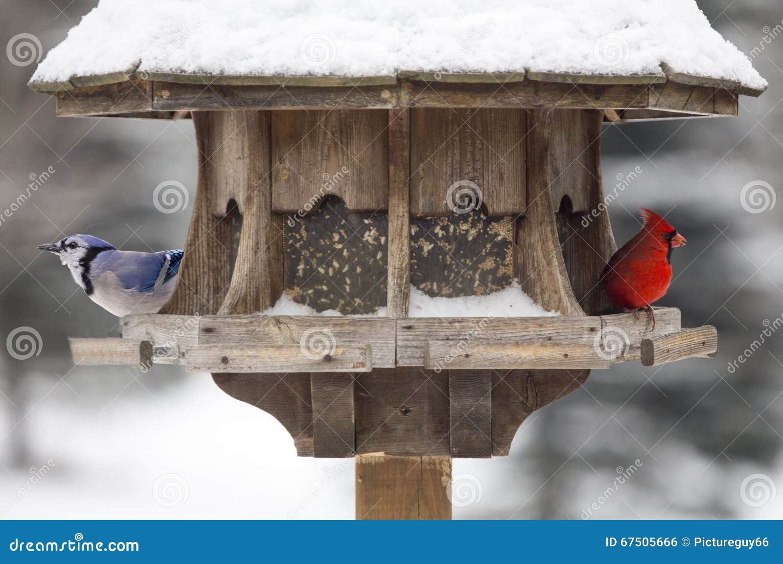 NOS Vintage playing card birdfeeder cardinal Bluejay finch  birds