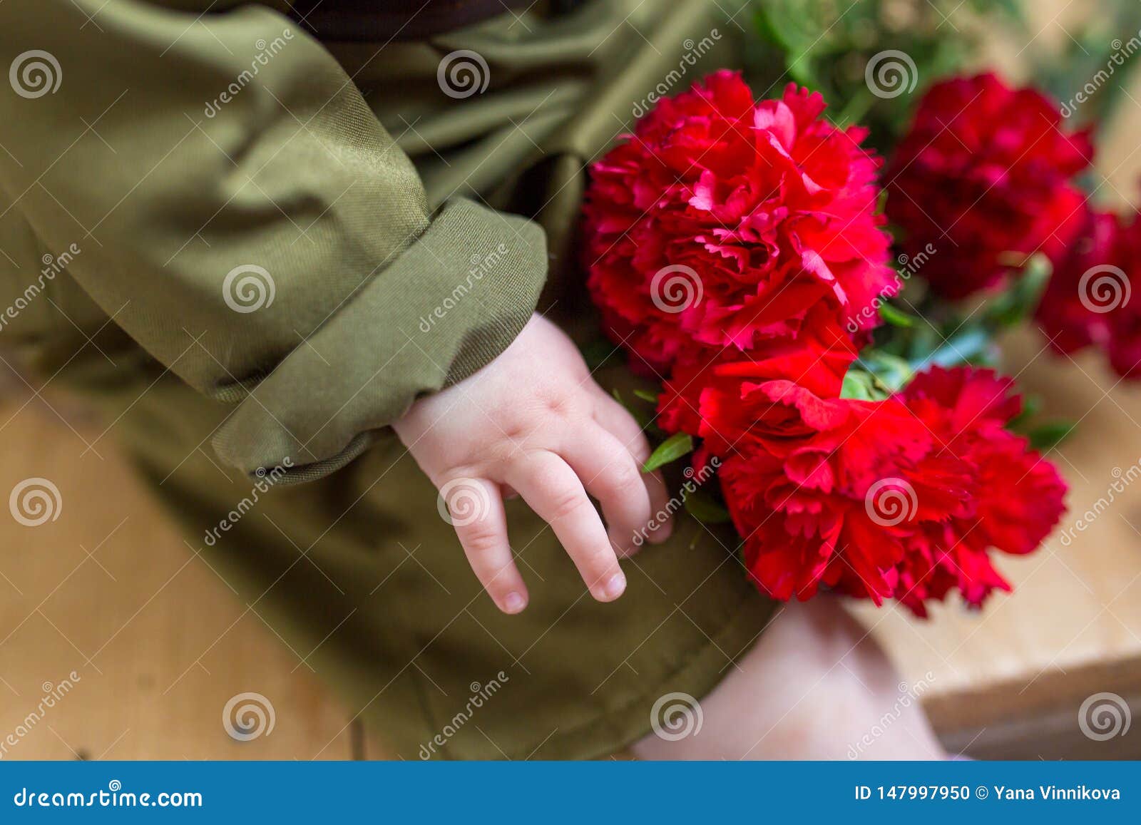 <b>Red</b> carnation in children&#x60;s hands. 