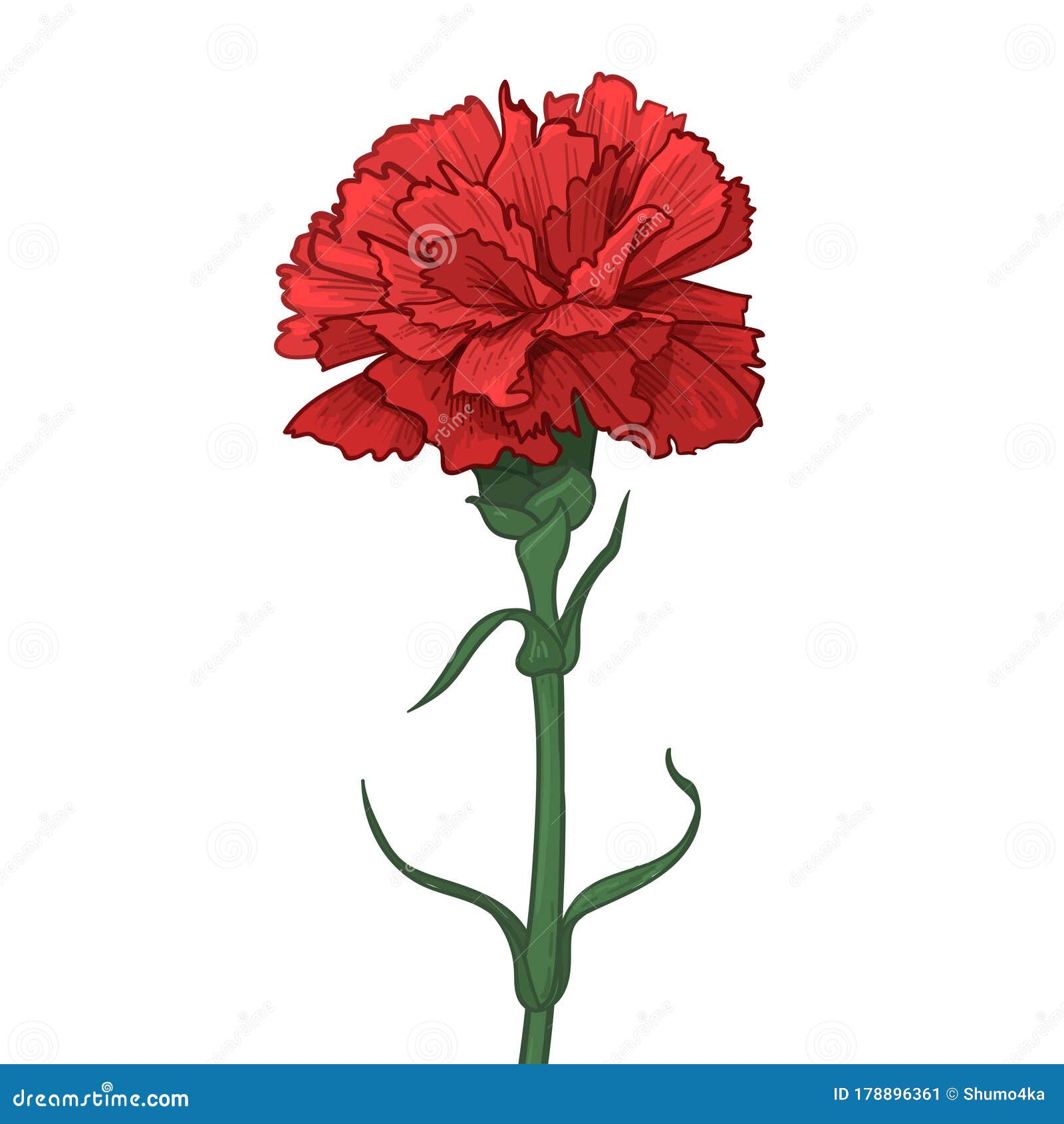 Carnation Flower. Happy Great Victory Day 9 Illustration Stock Illustration of happy, isolated: 178896361