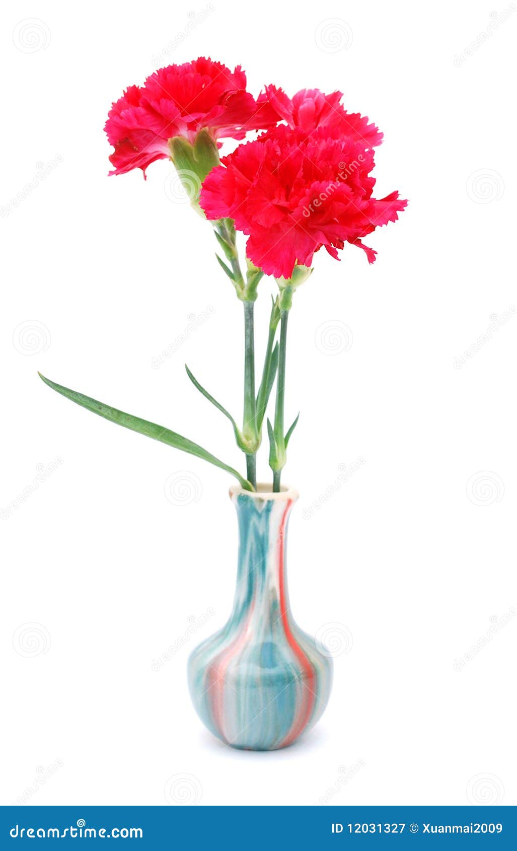Red carnation vase stock image. Image of arrangement 12031327
