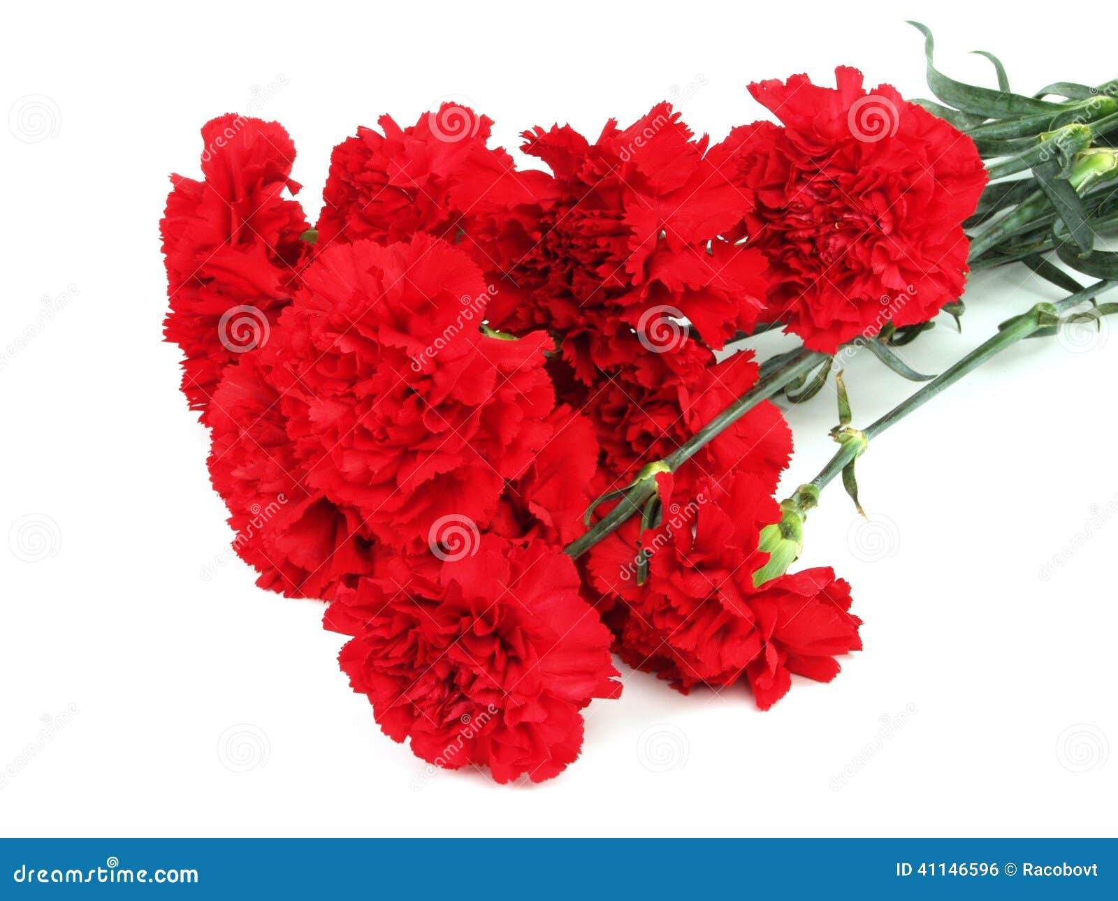 Red carnations bouquet stock photo. Image of carnation 41146596