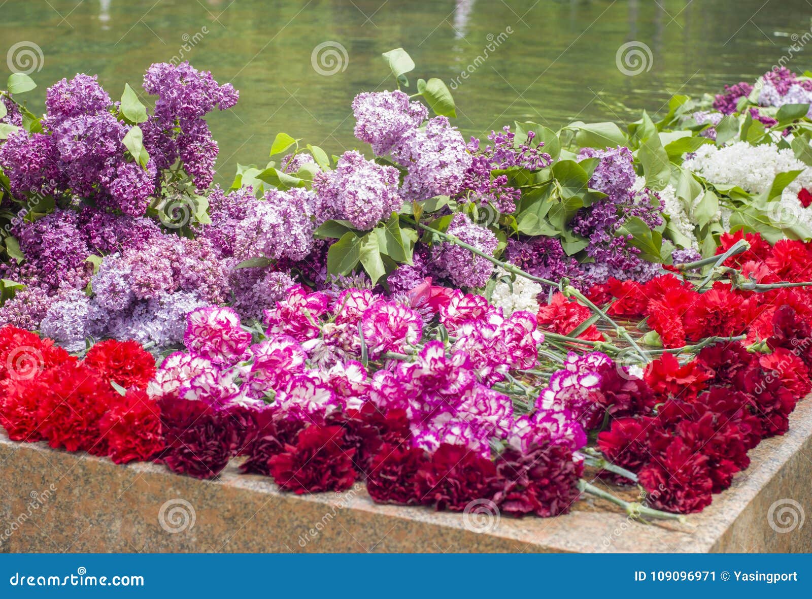 Red Carnations and Lilacs on a Marble Military Memorial Stock Image ...