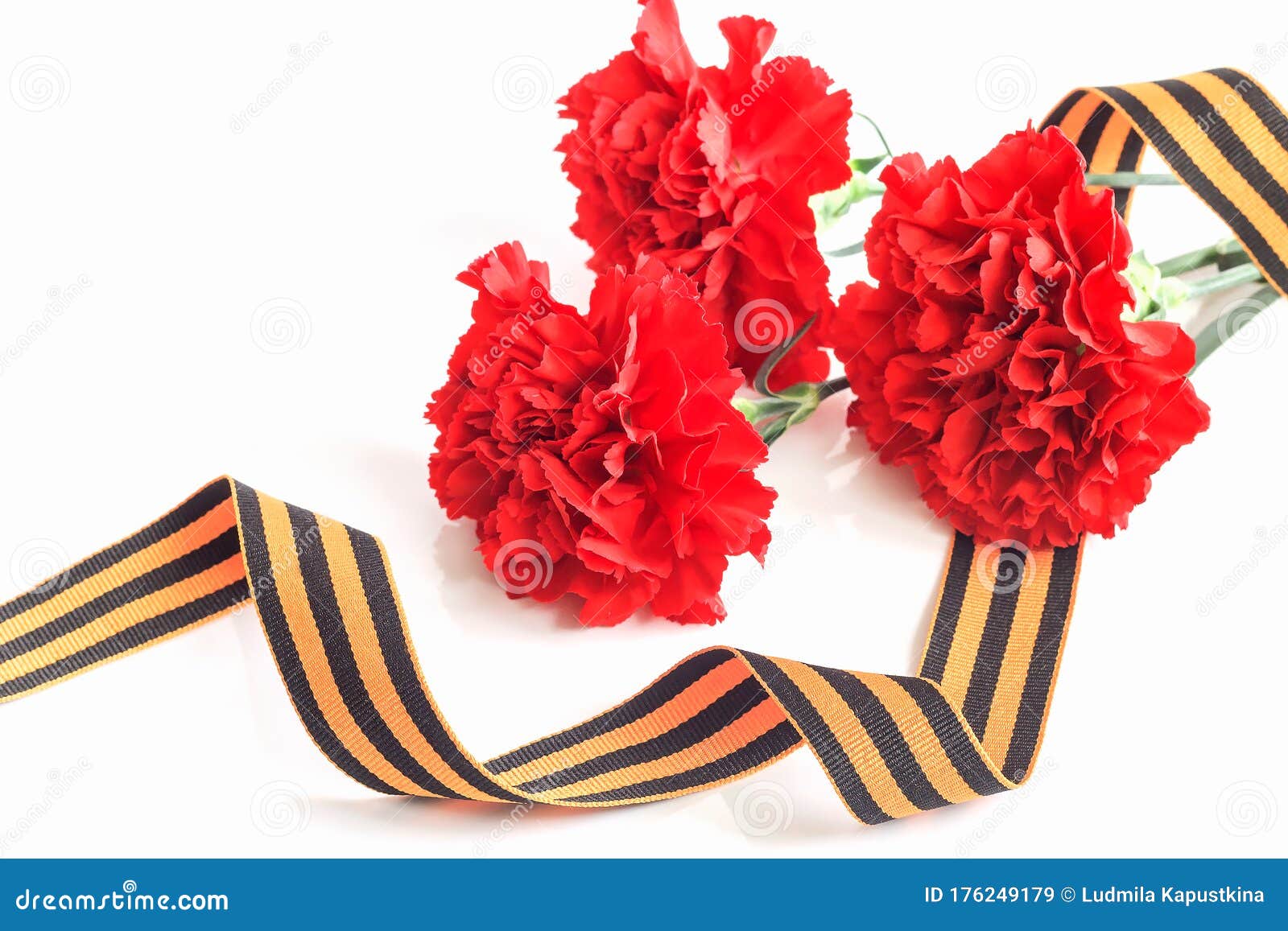 Red Carnations and the St. Ribbon Symbolize the Great and