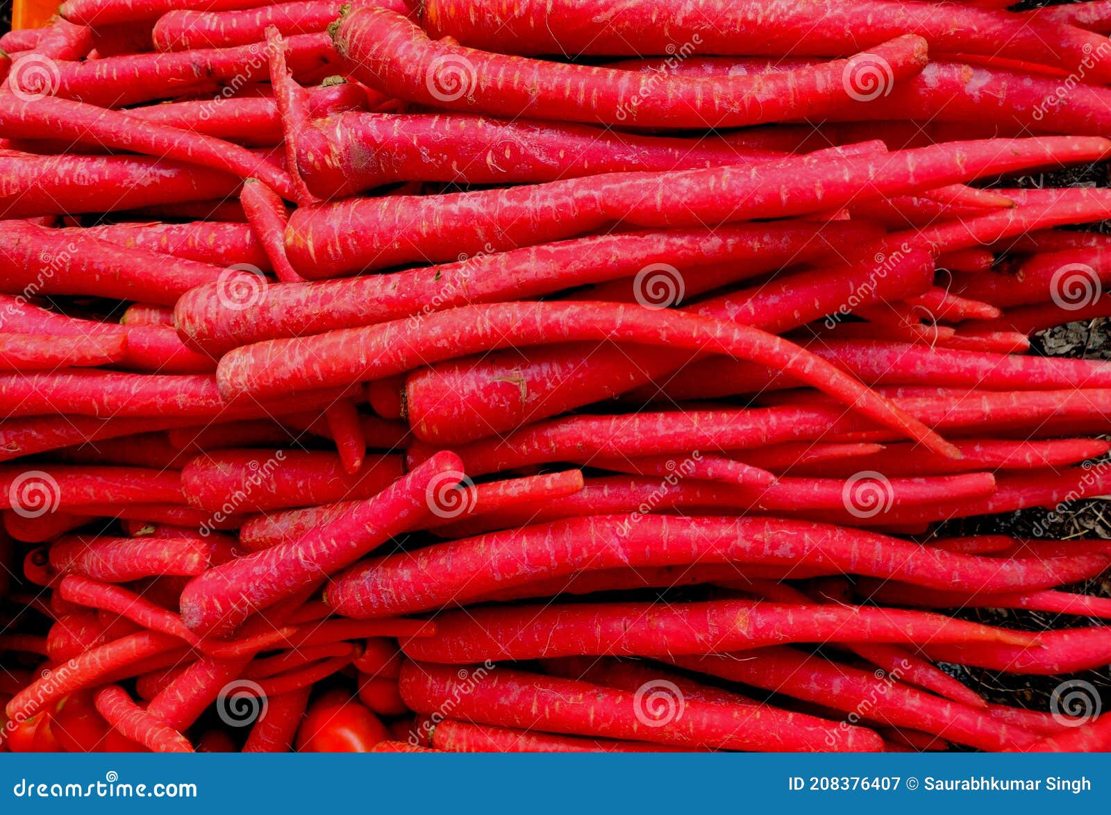 Red Carrots Which are High in Lycopene that is Another Form of Carotene Stock Image Image of