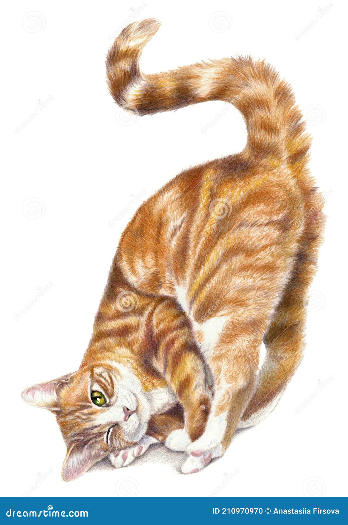 Red Cat Figure Isolated On A White Background Colored Pencil Drawing red-cat-figure-isolated-on-a-white-background-colored-pencil-drawing