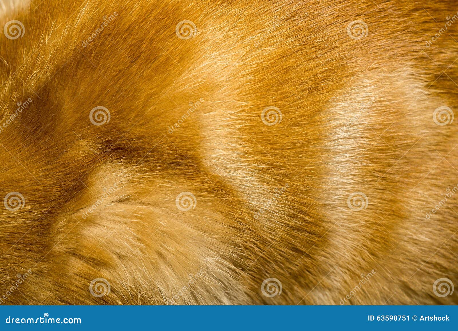 Red Cat Fur Texture stock image. Image of background 63598751