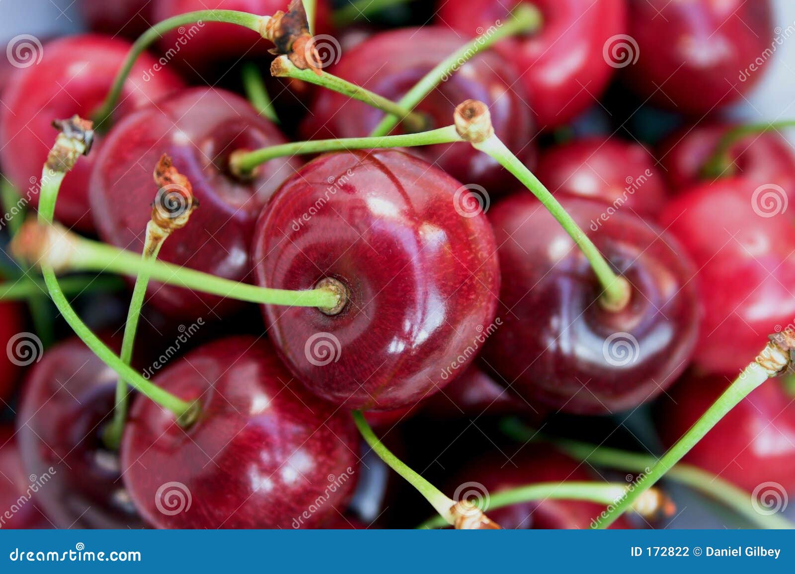 Red cherries stock photo. Image of juice, ripe, juicy, tasty - 172822
