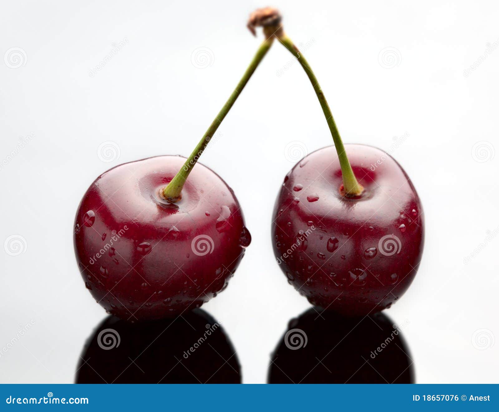 Red cherry on black stock photo. Image of black, organic - 18657076