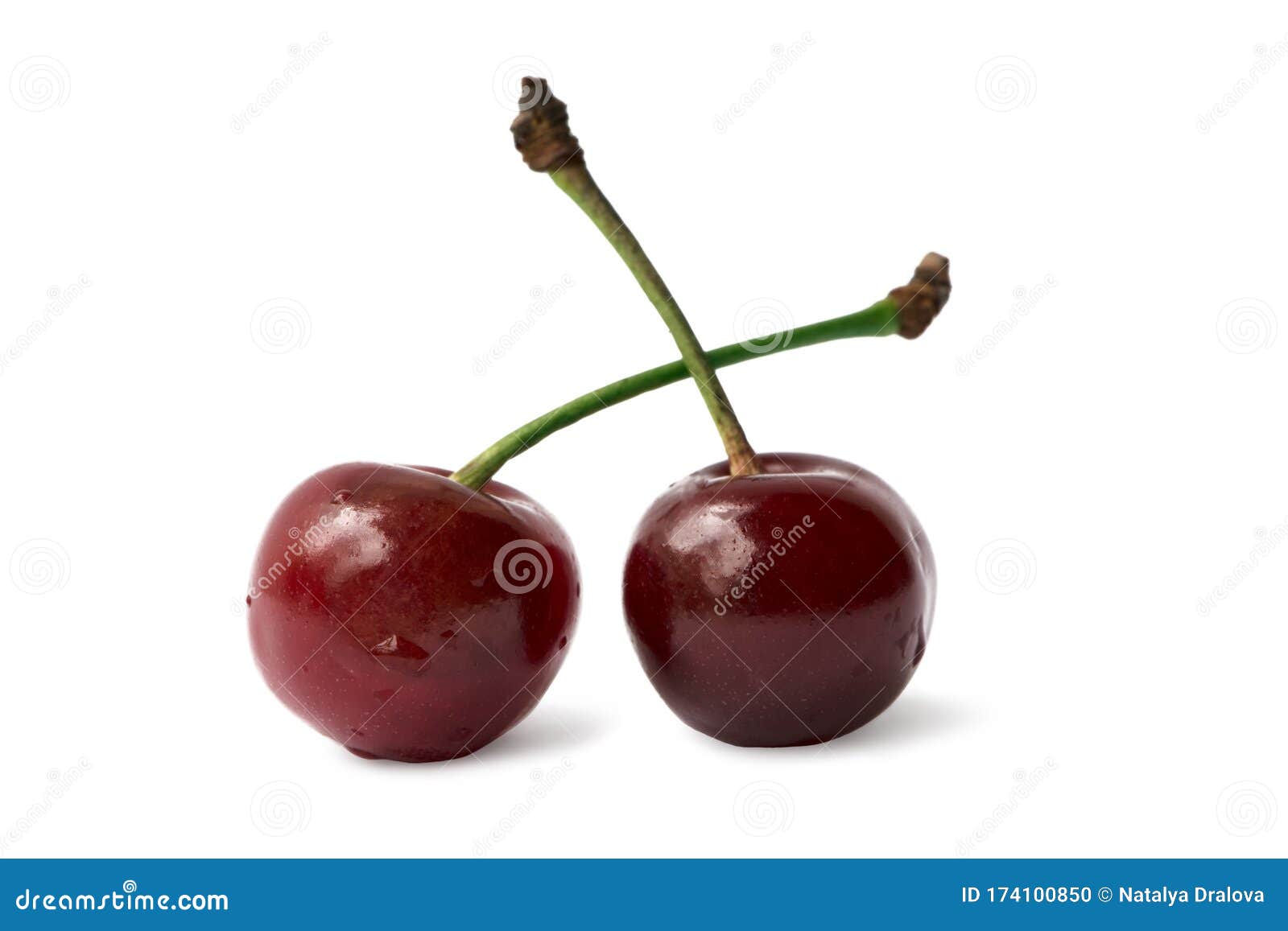 Red Cherry Fruits Isolated on White Background Stock Photo Image of