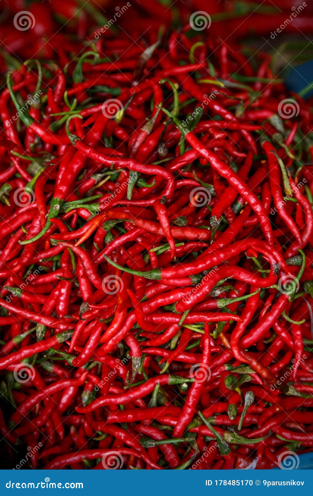 Red Chile Pepper on an Asian Market Stock Photo Image of ristra