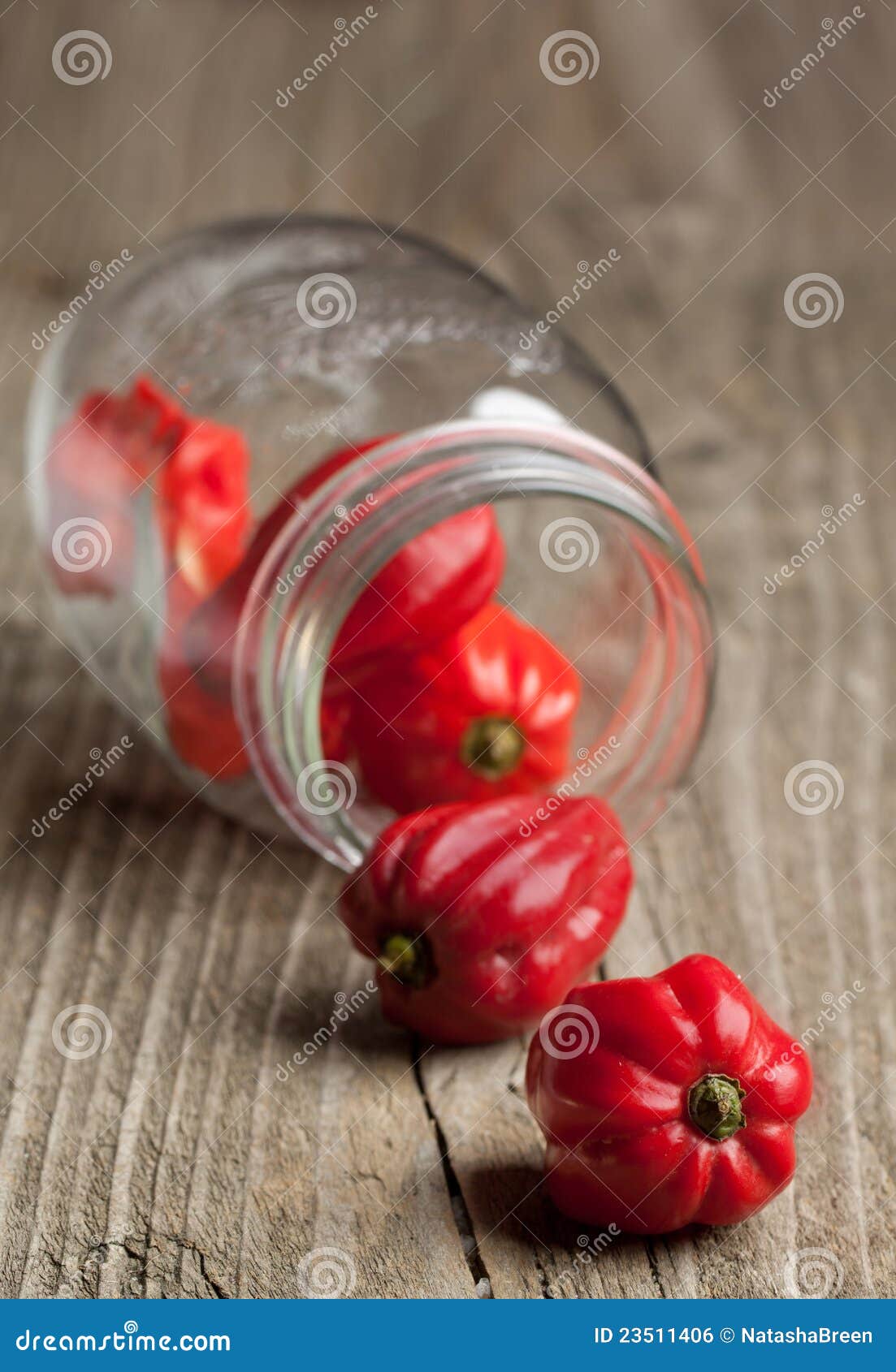 Red Chili Habanero Peppers from Jar Stock Photo Image of cooking