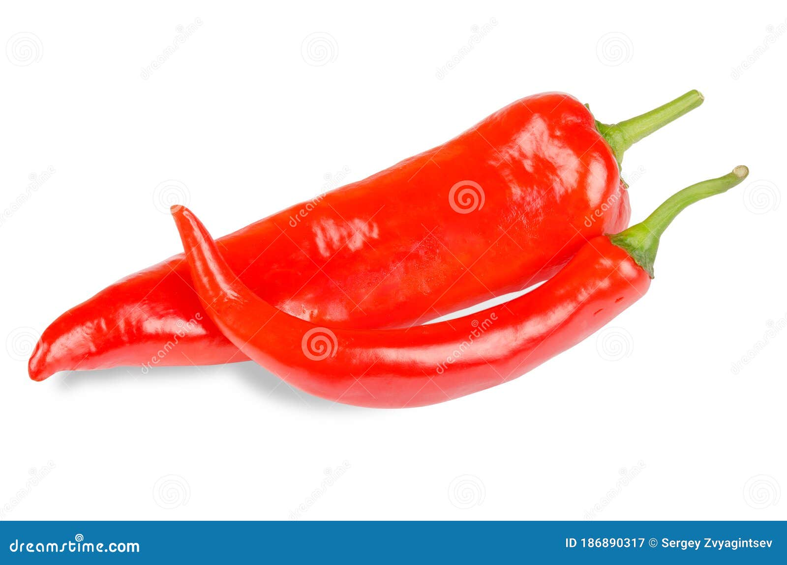Red Chili and Paprika Peppers Stock Image Image of bell, flavoring 186890317