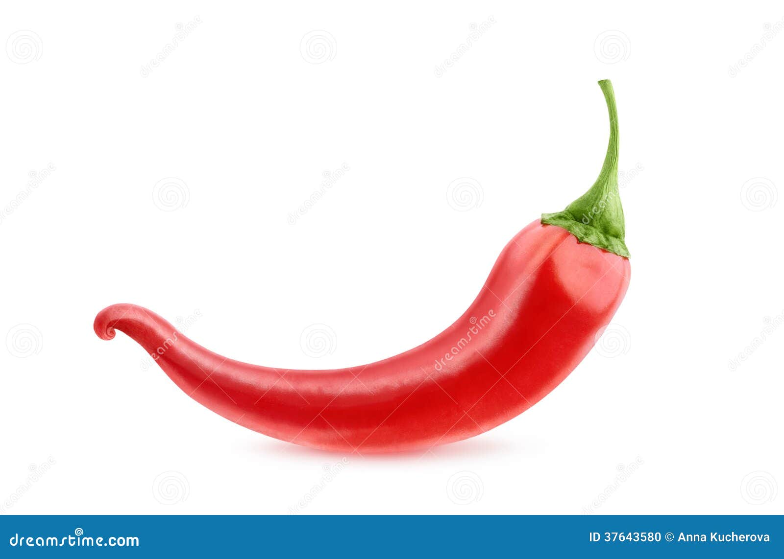 Red chili pepper stock photo. Image of ingredient, fruit 37643580