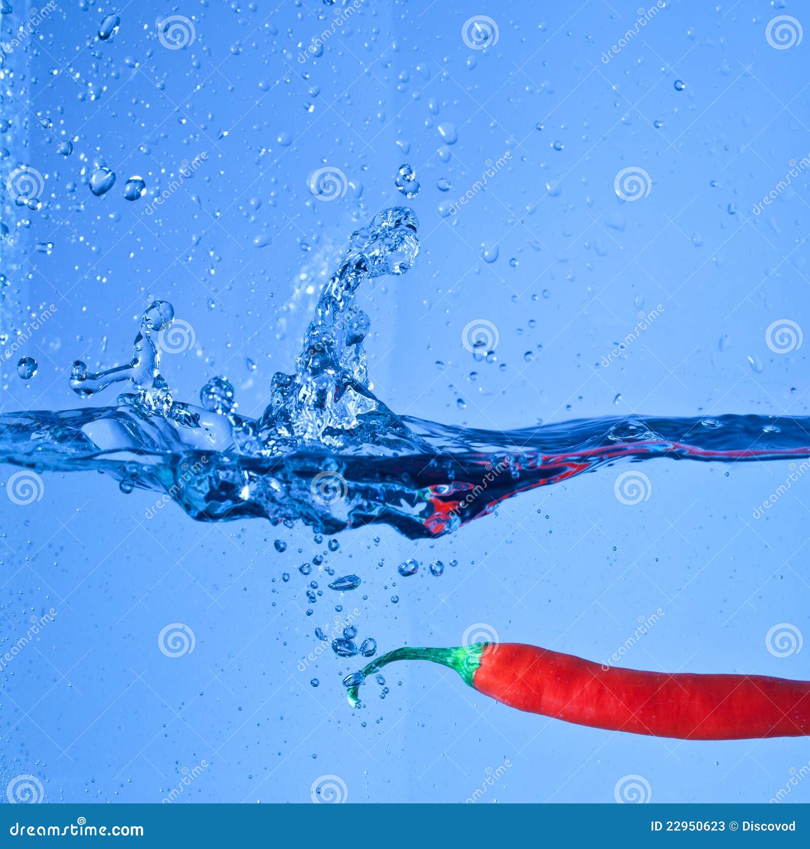 Red Chili Pepper Dropped into Water with Splash Stock Image Image of