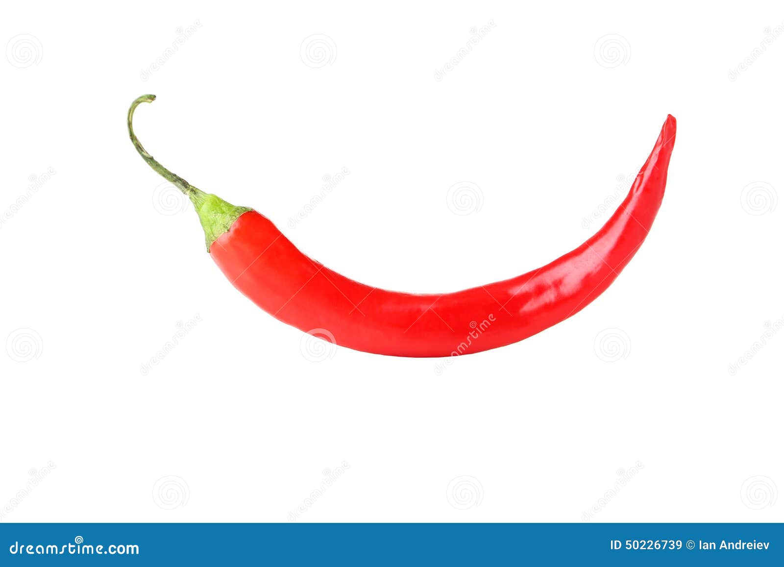 Red Chili Pepper, Fresh and Close Up Stock Image Image of ingredient
