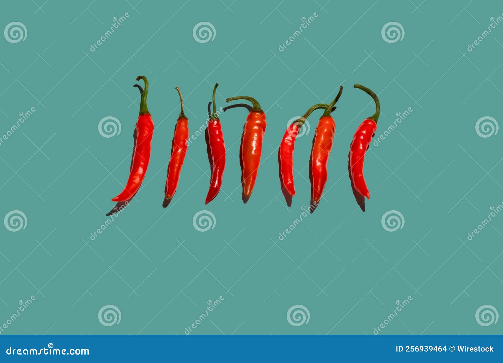 Red Chili Pepper Isolated on a Grey Background Stock Photo Image of