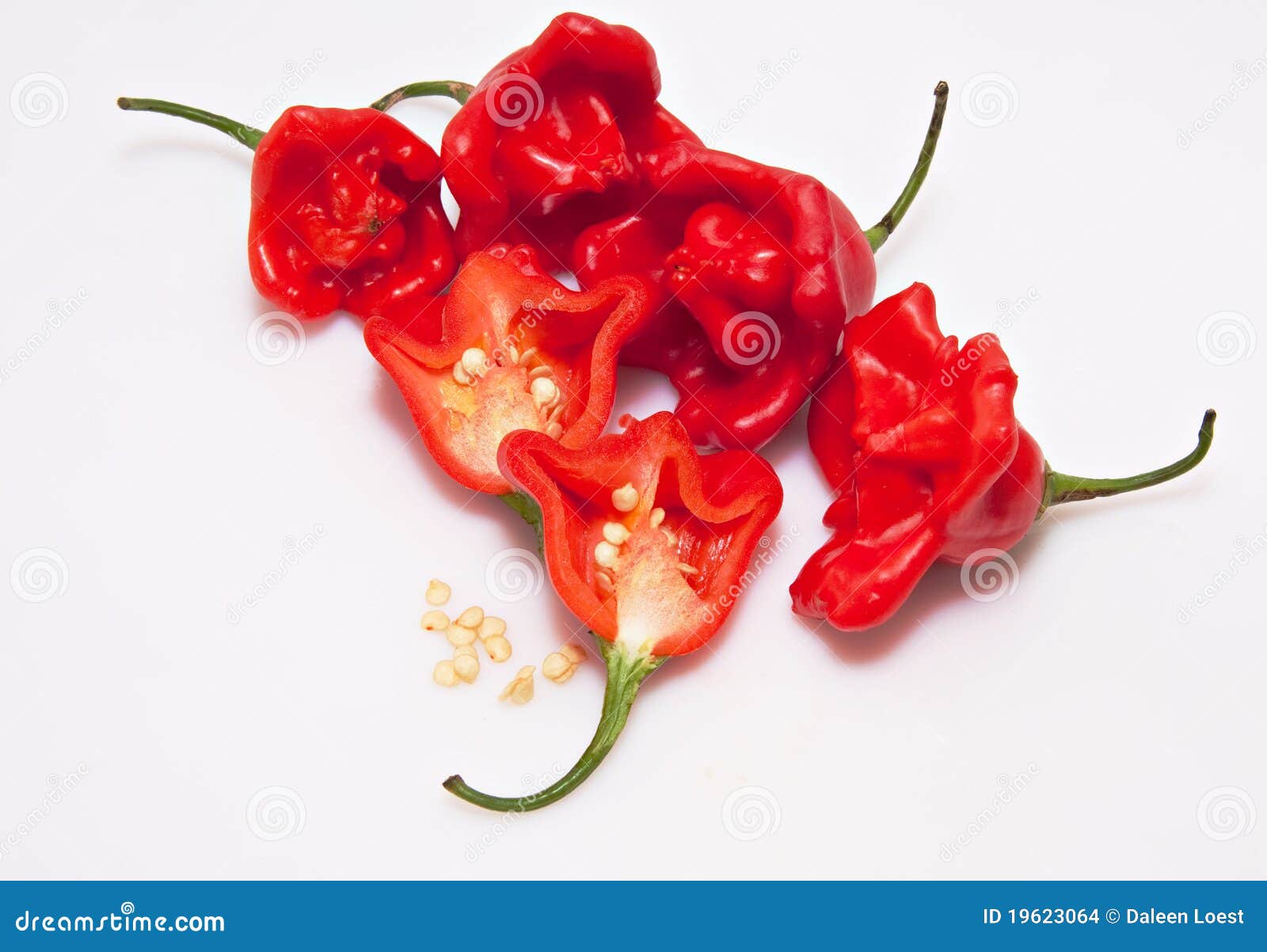 Red chili peppers stock photo. Image of mexican, closeup 19623064