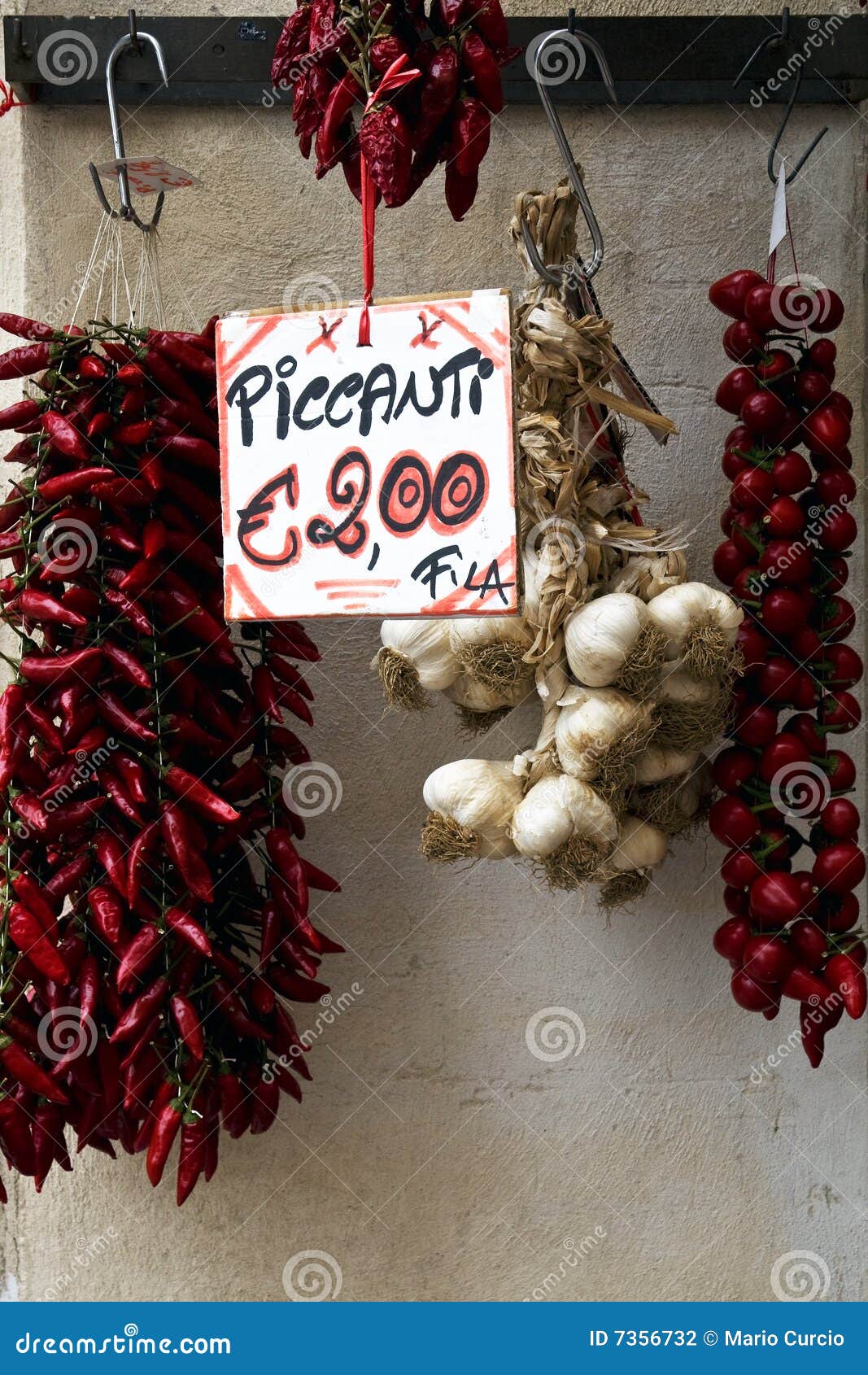 Red Chili Peppers and Garlic for Sale Stock Photo Image of grass