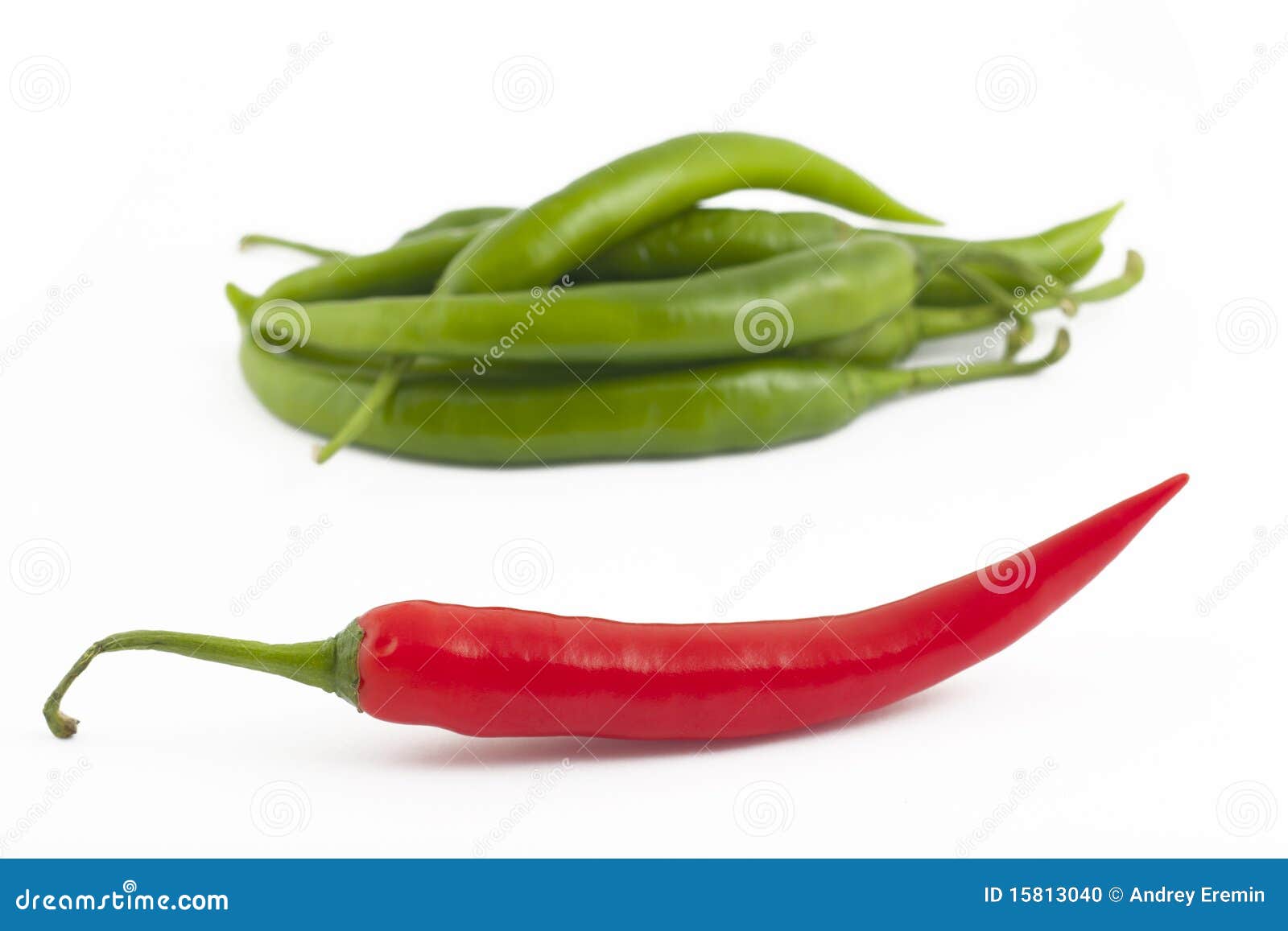 Red Chili Peppers and Green Stock Photo Image of pepper, white 15813040