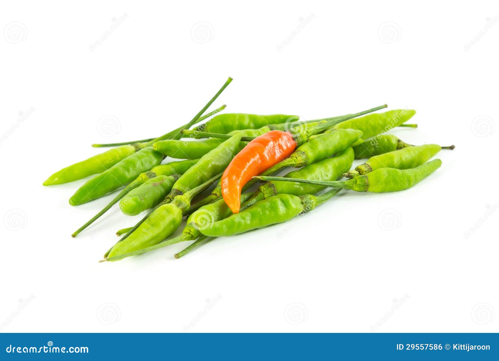 Red Chili Peppers in the Green Stock Photo Image of capsicum, ripe