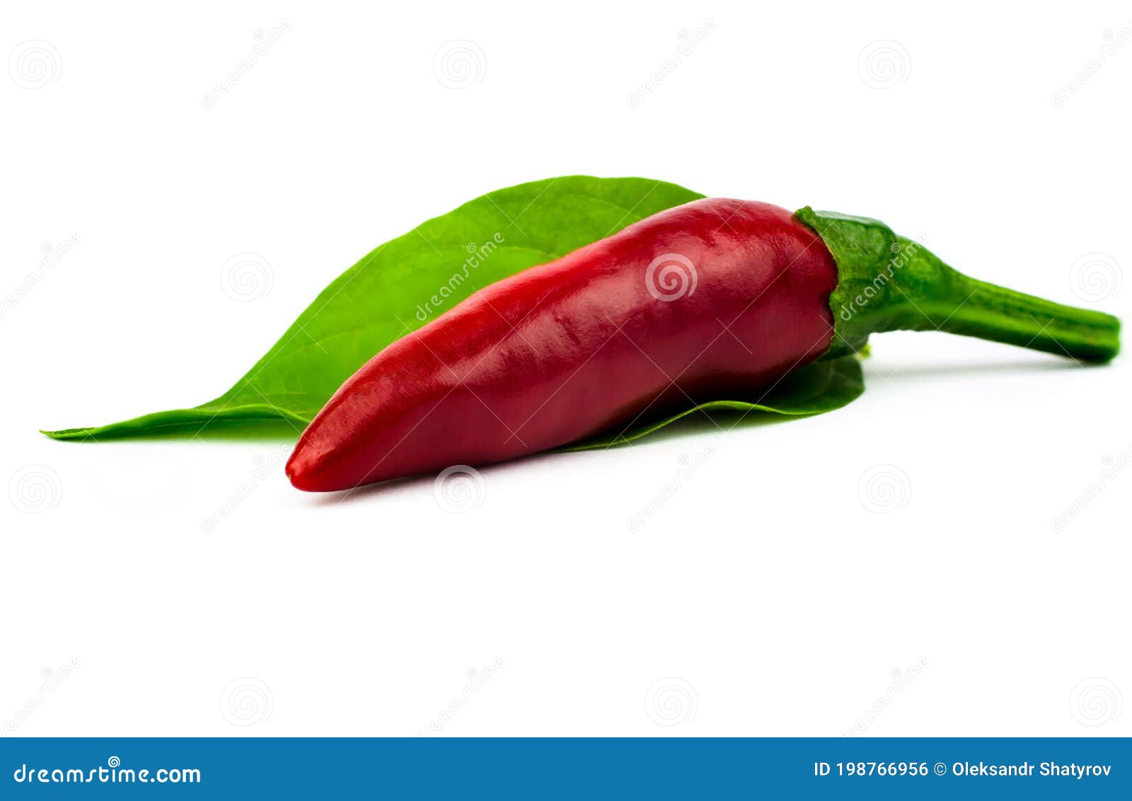 Red Chili Peppers with Green Leaf Stock Photo Image of isolated, chilli 198766956