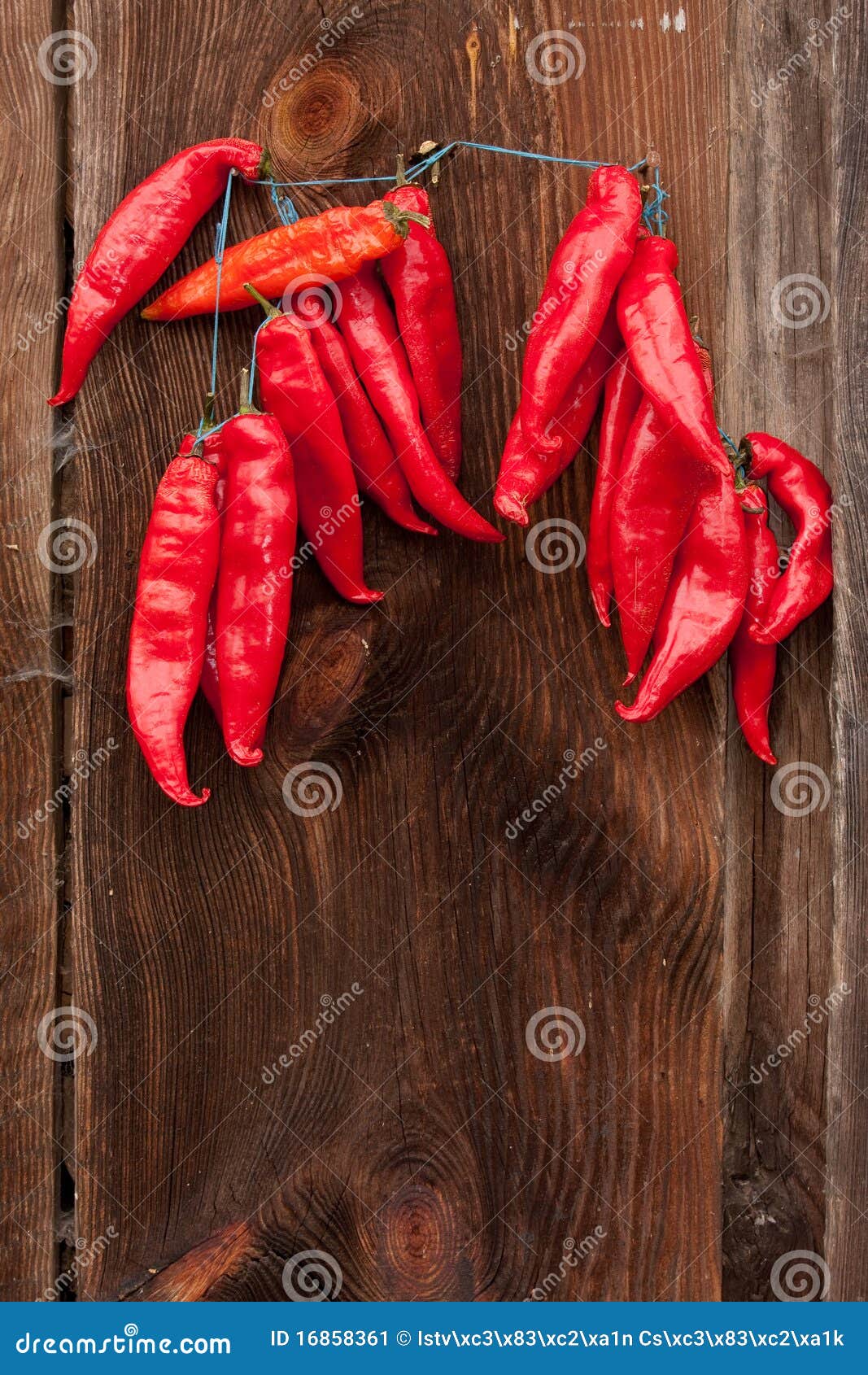 Red Chili Peppers hanging stock image. Image of seasoning 16858361