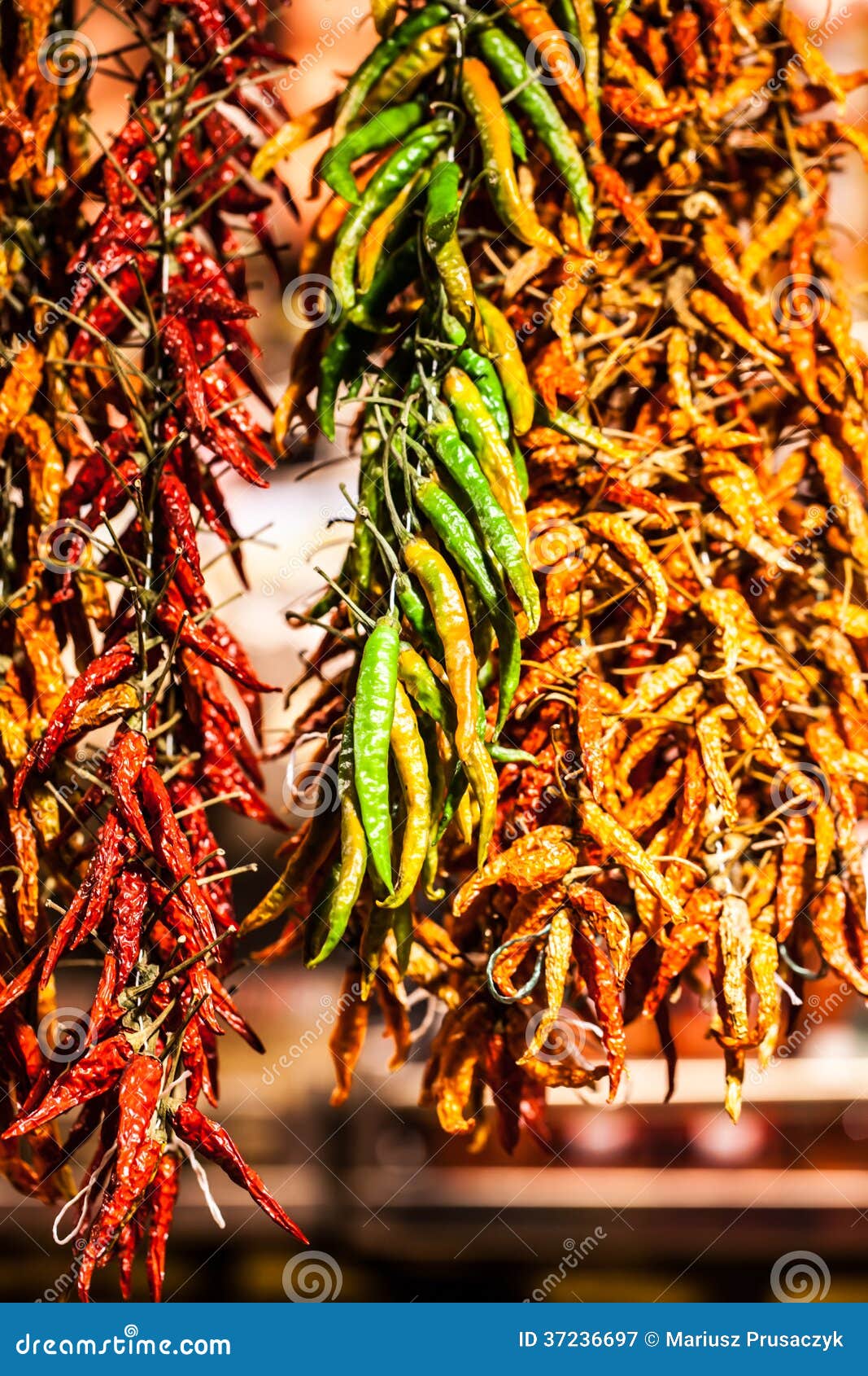 Red Chili Peppers hanging stock image. Image of southwest 37236697