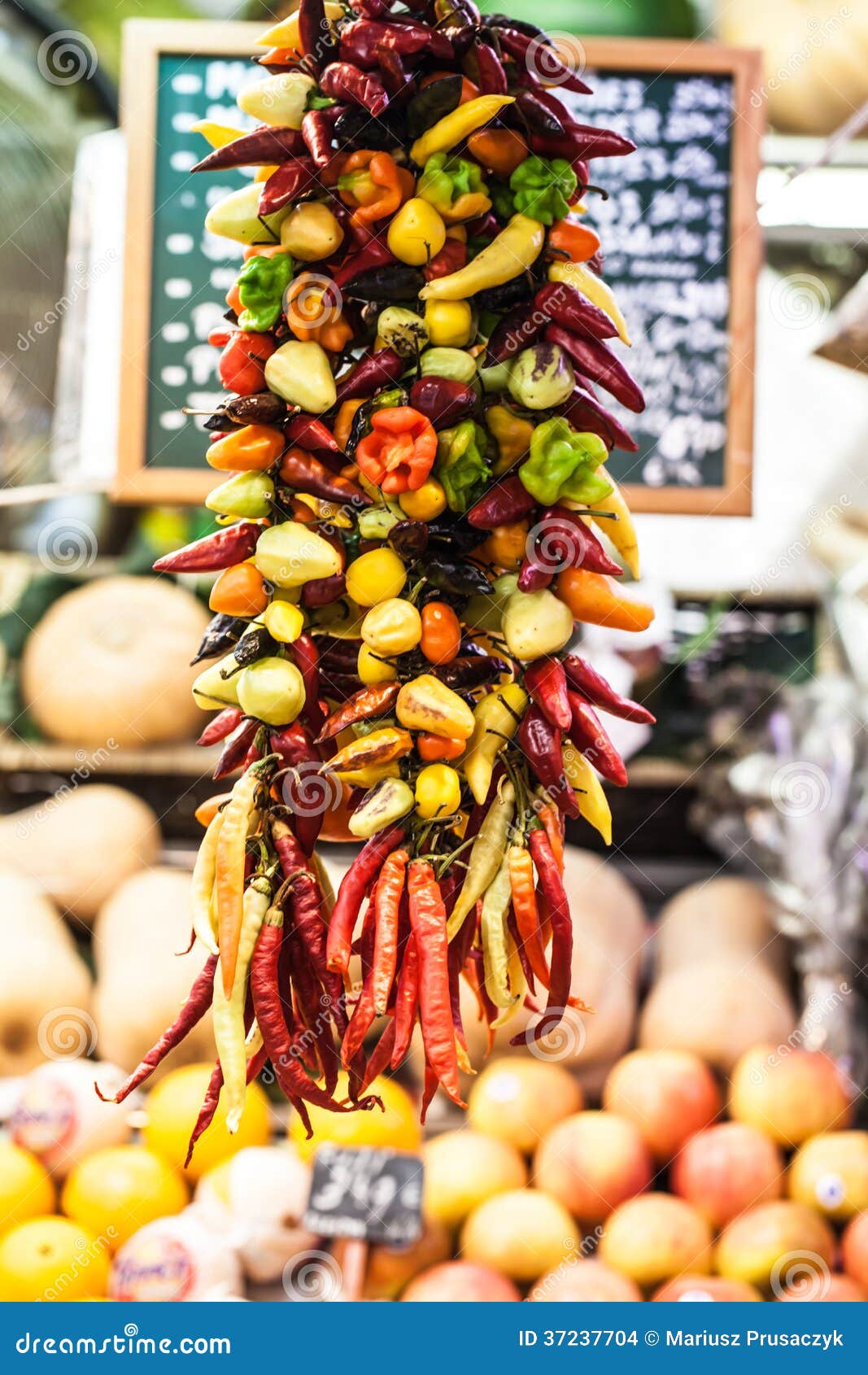 Red Chili Peppers Hanging. Close Up. Stock Photo Image of southwest