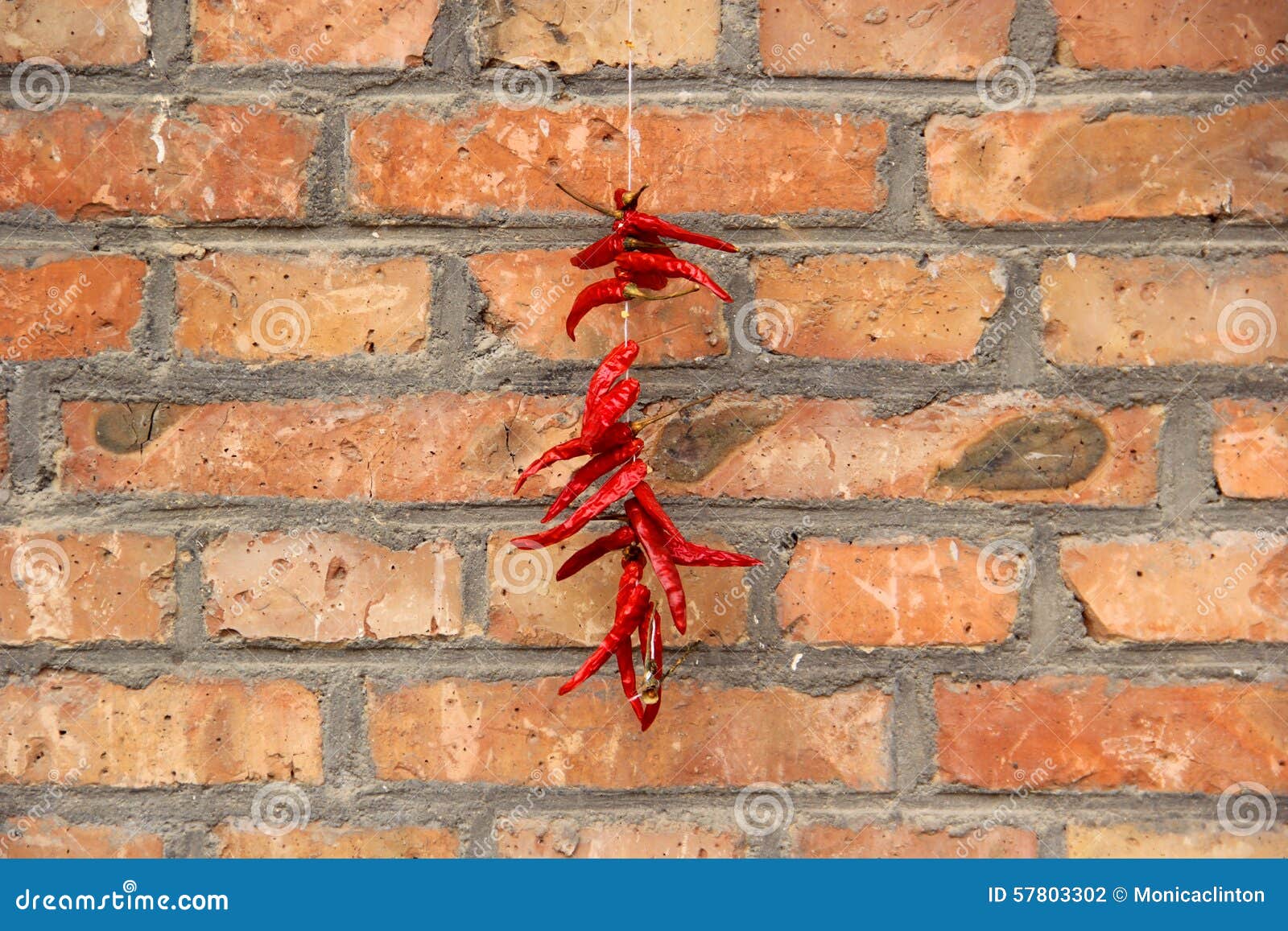 Red Chili Peppers on Red Brick Wall Stock Photo Image of pepper