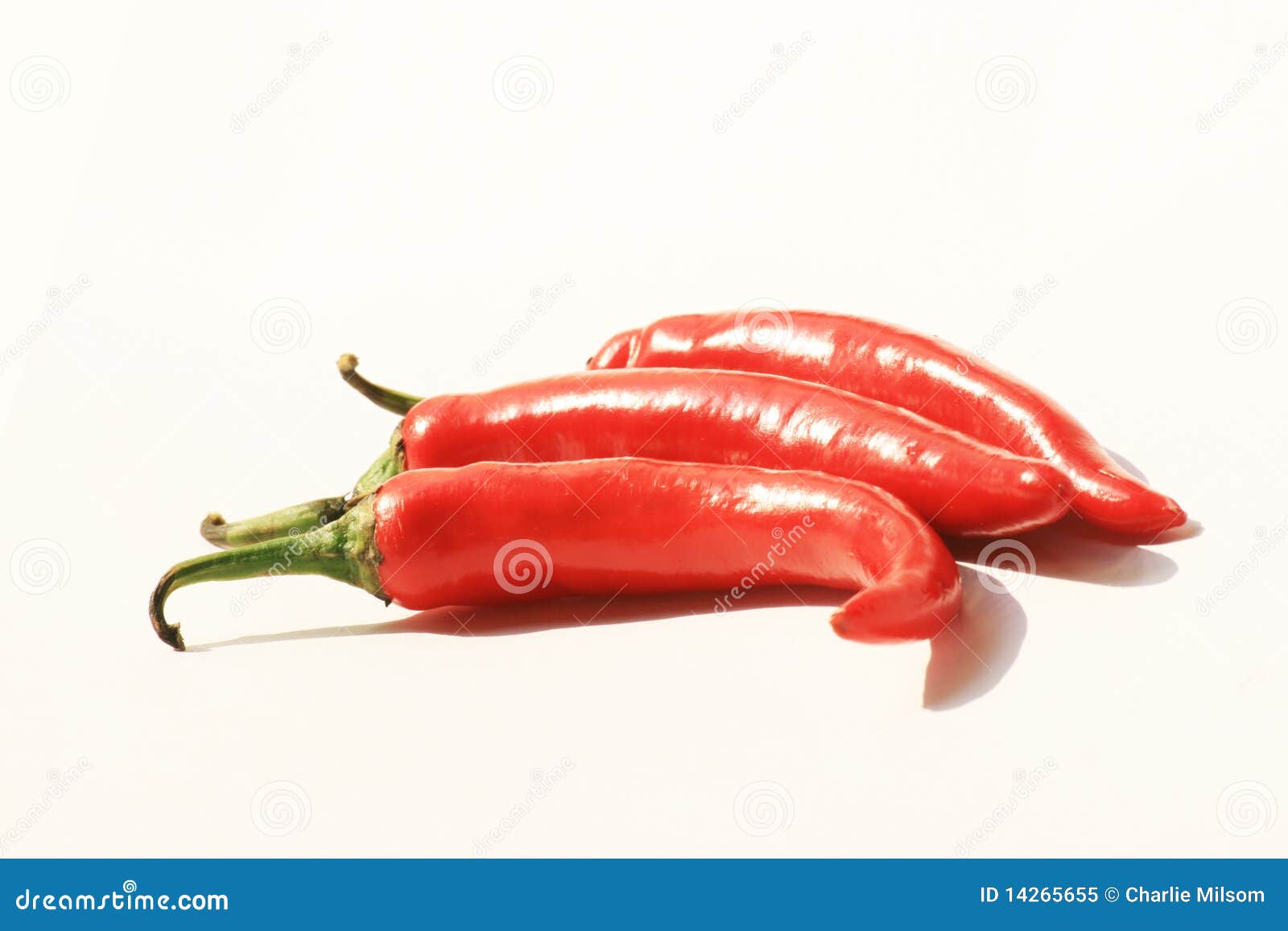 Red Chili Peppers, Thailand. Stock Image Image of cook, capsicum