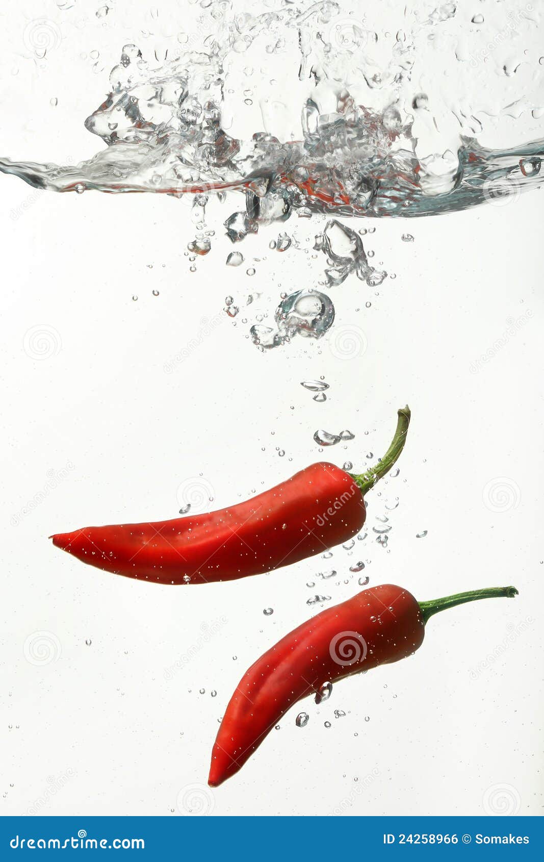 Red Chili Peppers Under Water Stock Photo Image of organic, underwater 24258966