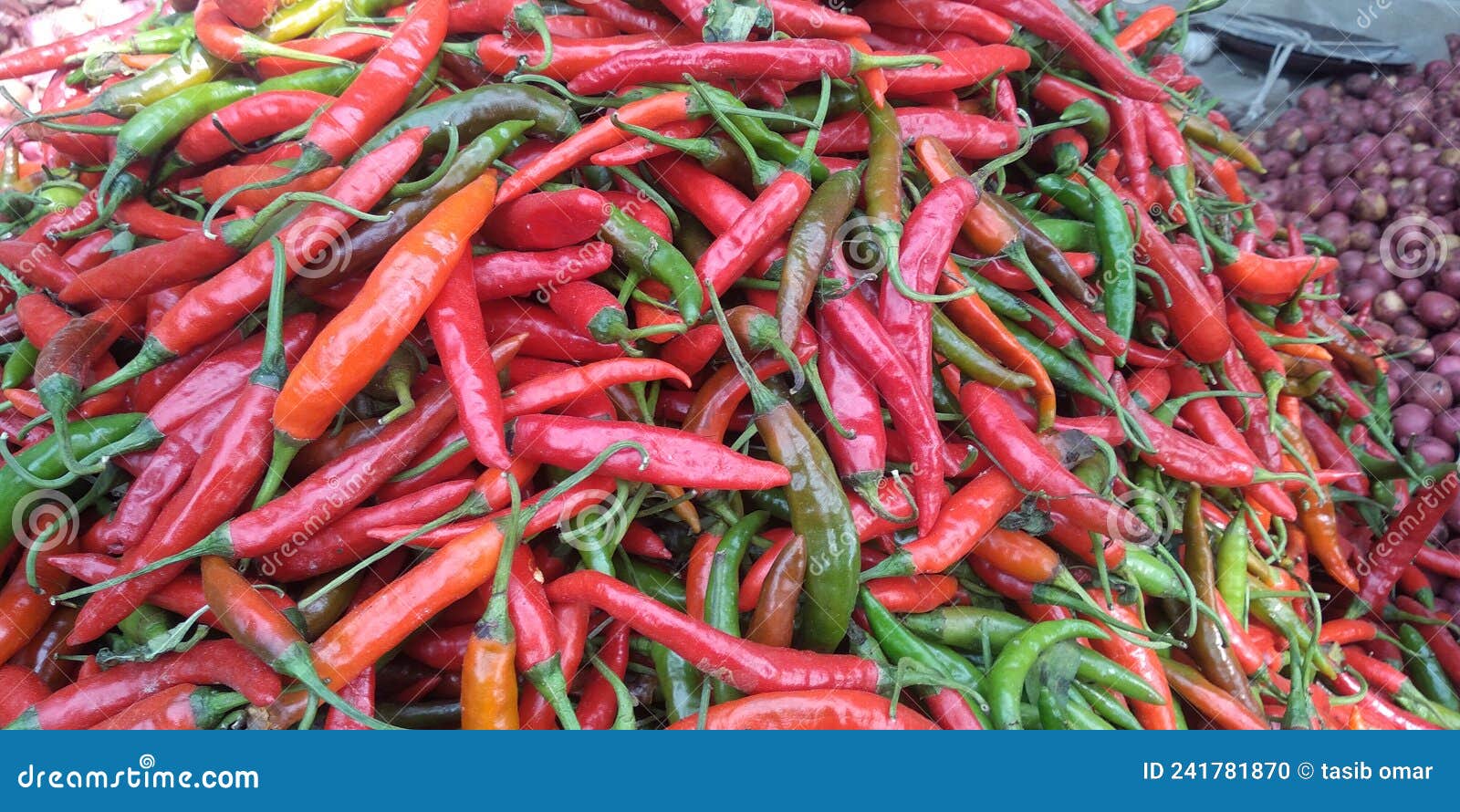 Red chilli food stock photo. Image of gourd, flower 241781870