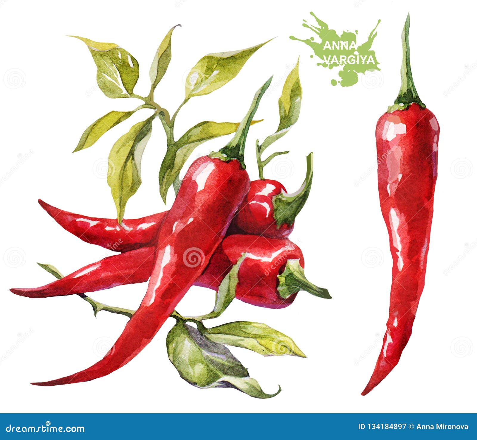 Chilli Cartoon Vector | CartoonDealer.com #58055761