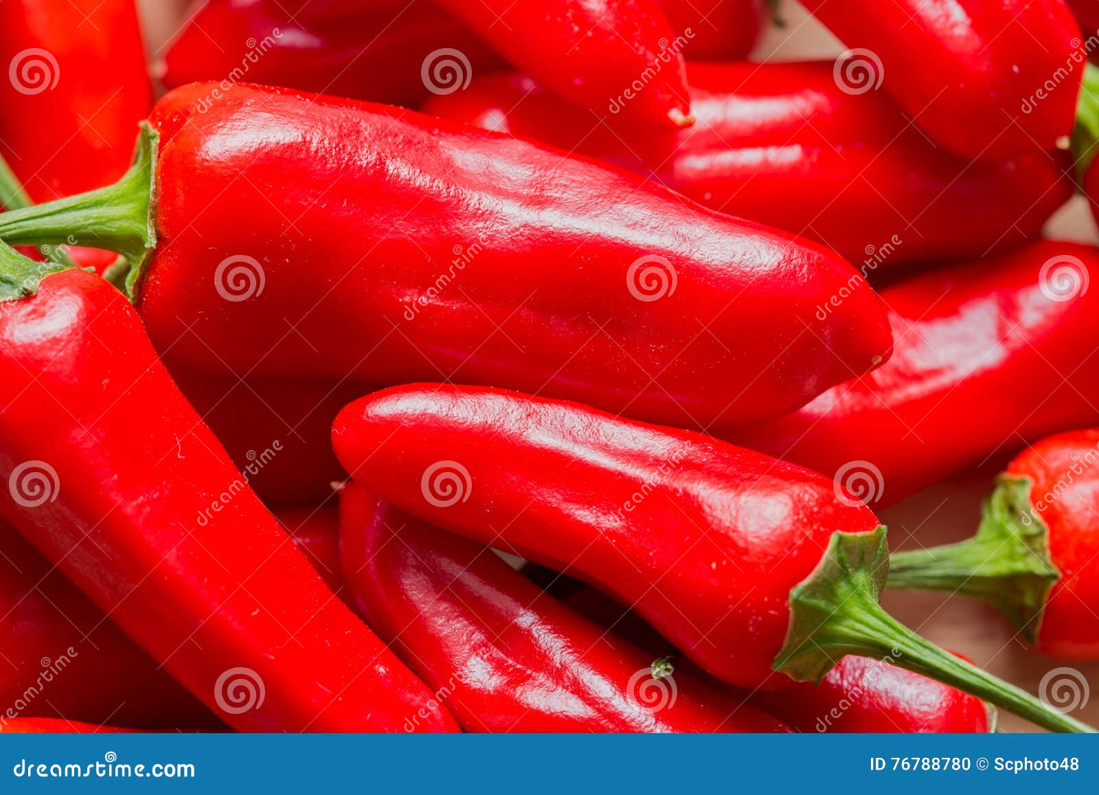 red chilli pepper 'capsicum annuum'