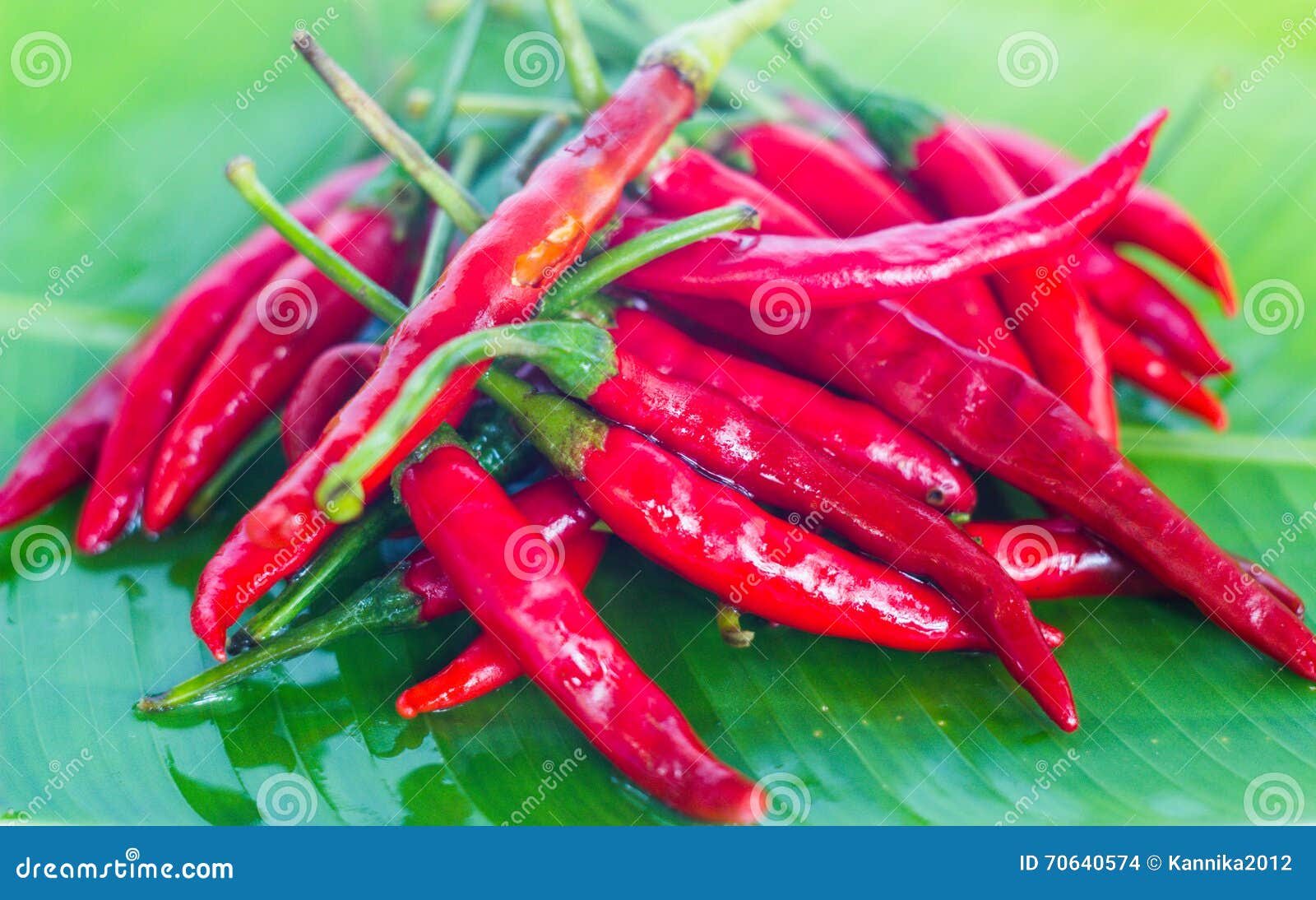 Red Chilli is Very Hot in Thai Food Stock Photo Image of fresh, spice