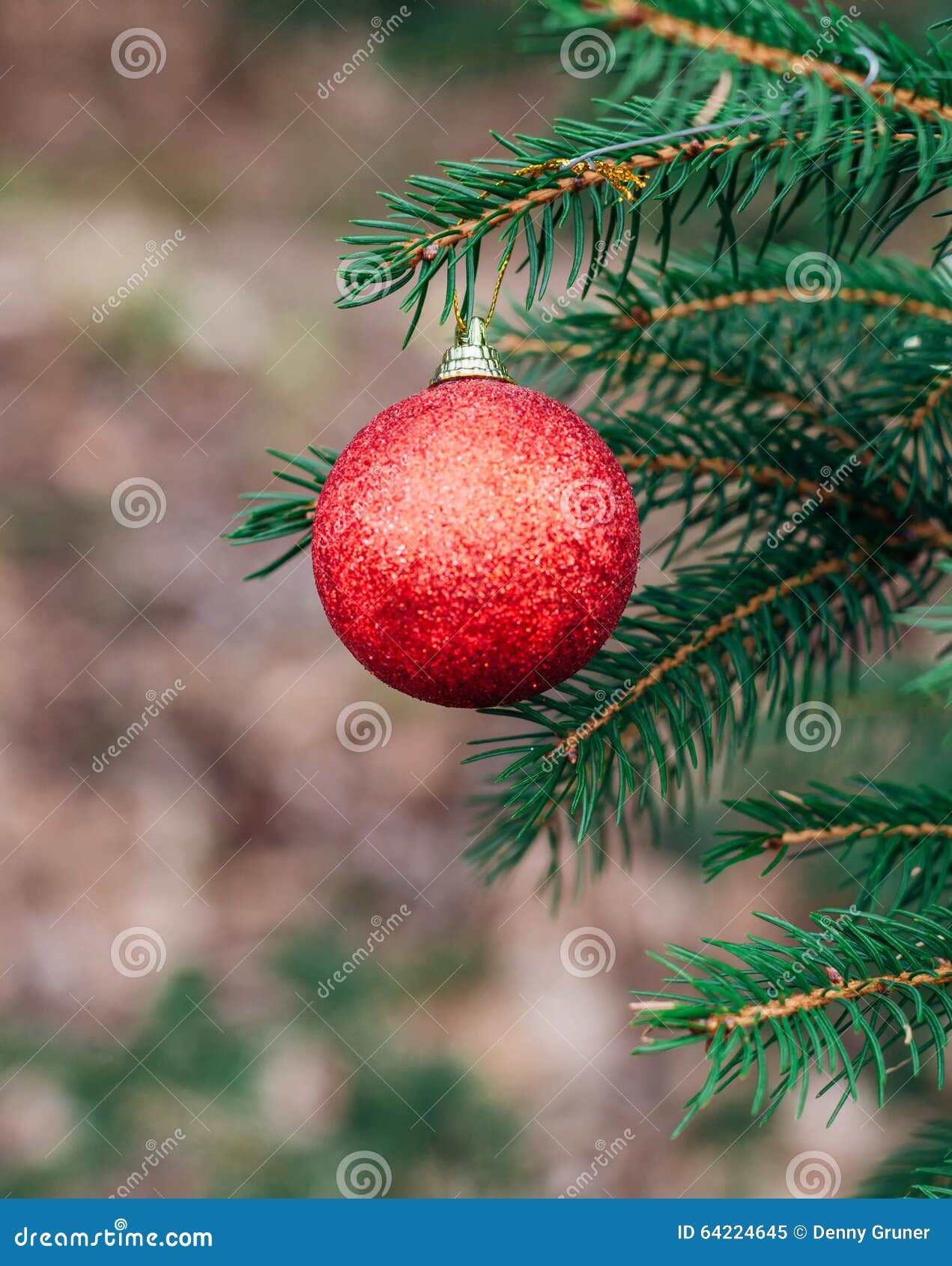Red Christmas Ball on Pine Branch Stock Image Image of glitter
