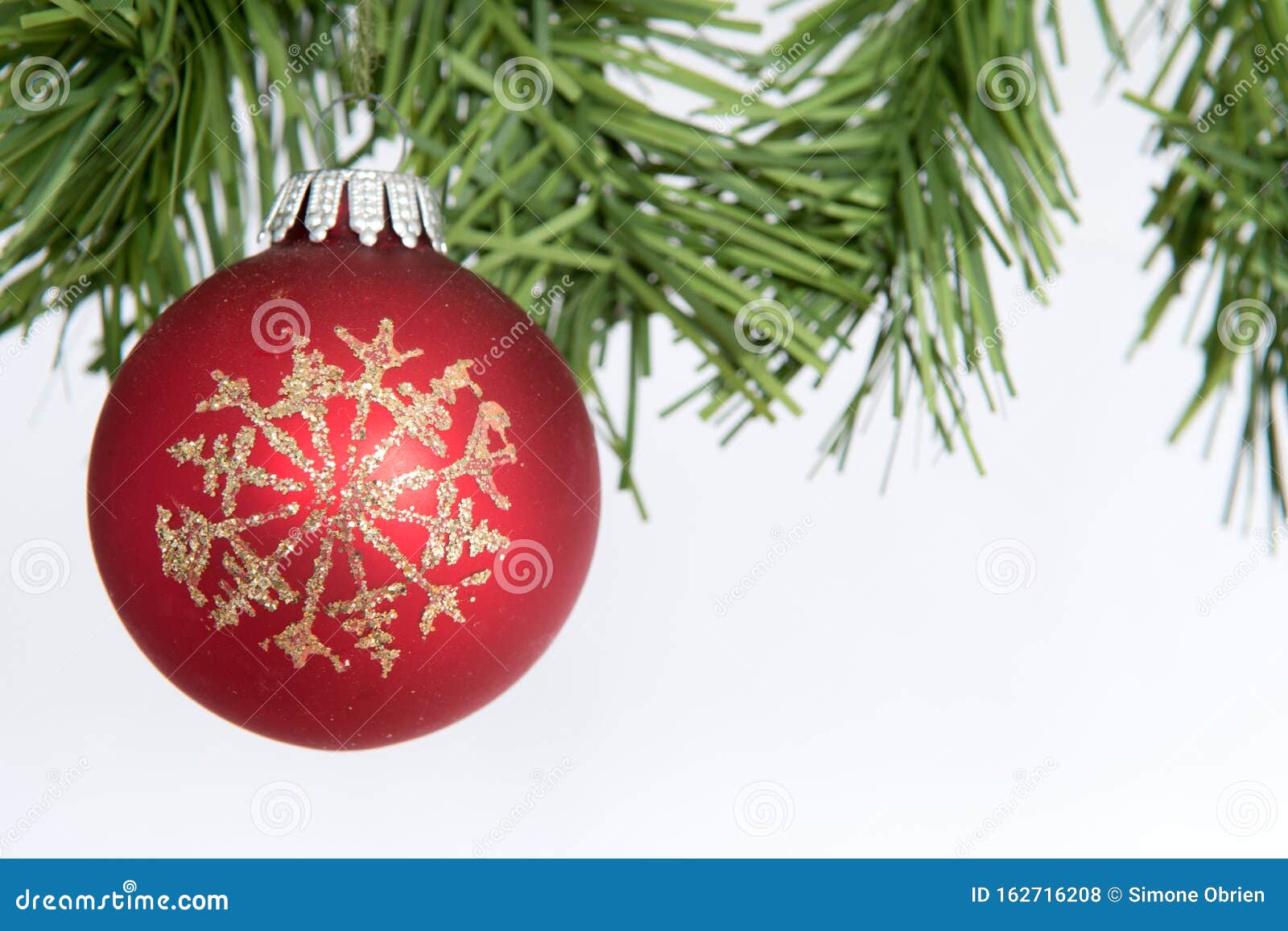 Red Christmas Baubles Hanging from Green Pine Trees on Background Stock ...