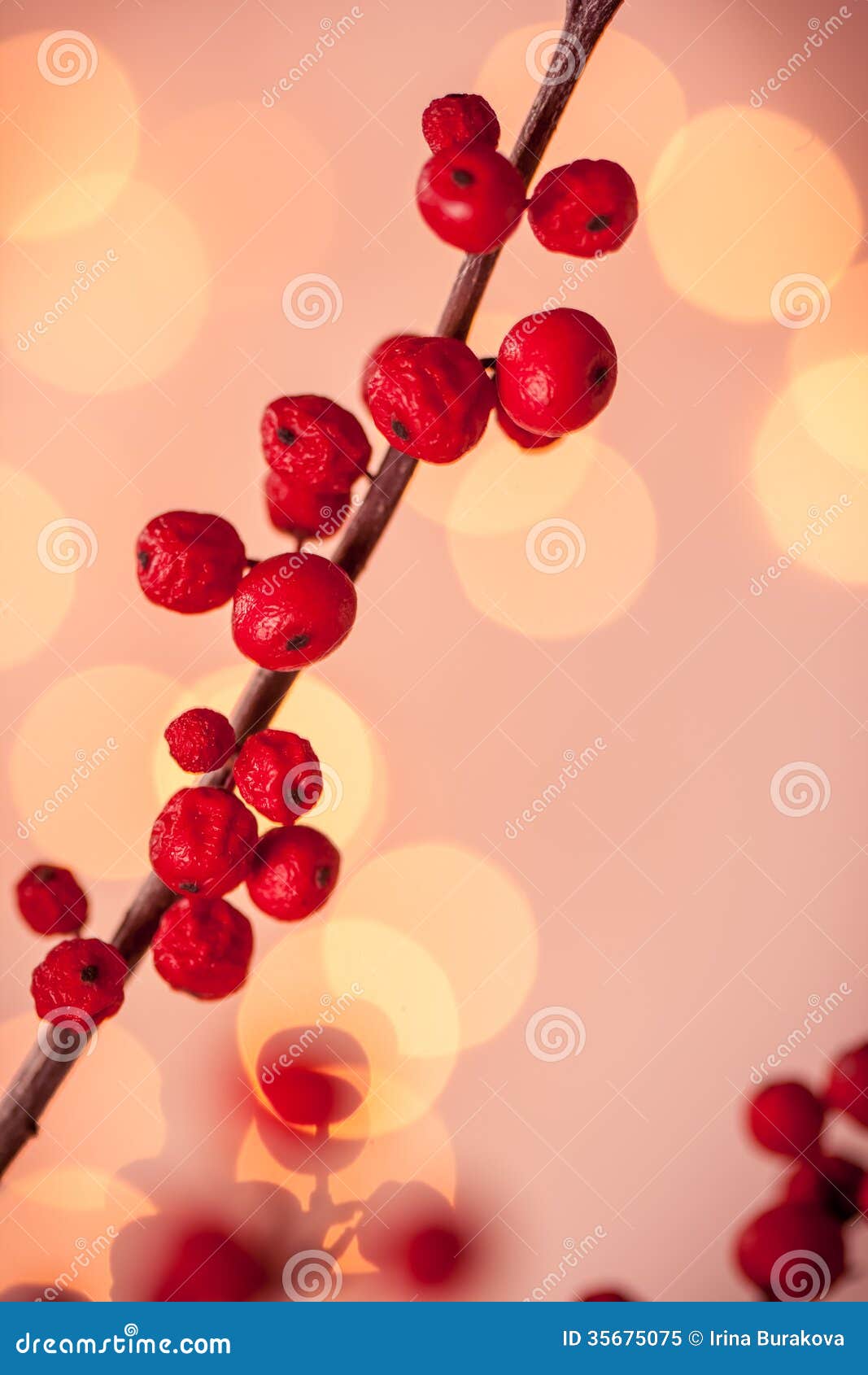 Red Christmas berries stock image. Image of year, green 35675075