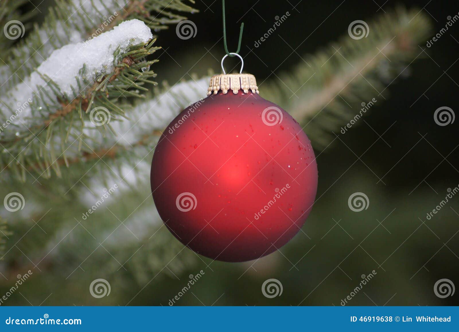 Red Christmas Bulb. stock photo. Image of bright, decorate 46919638